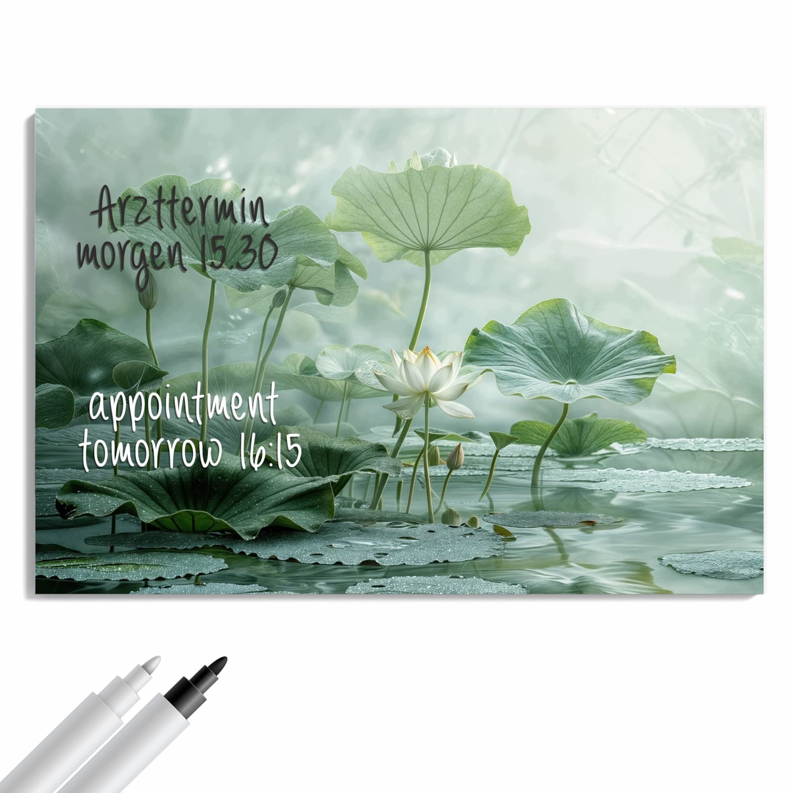 Magnetická tabule – obraz na zeď Lotosové jezírko | 60 × 40 cm