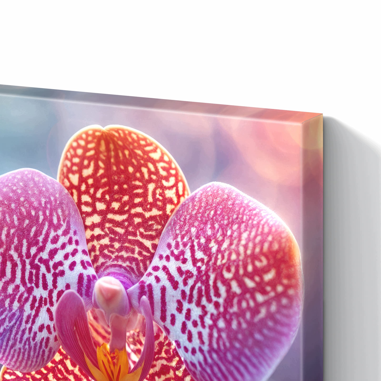 Magnetická tabule – obraz na zeď Exotická orchidej | 60 × 40 cm