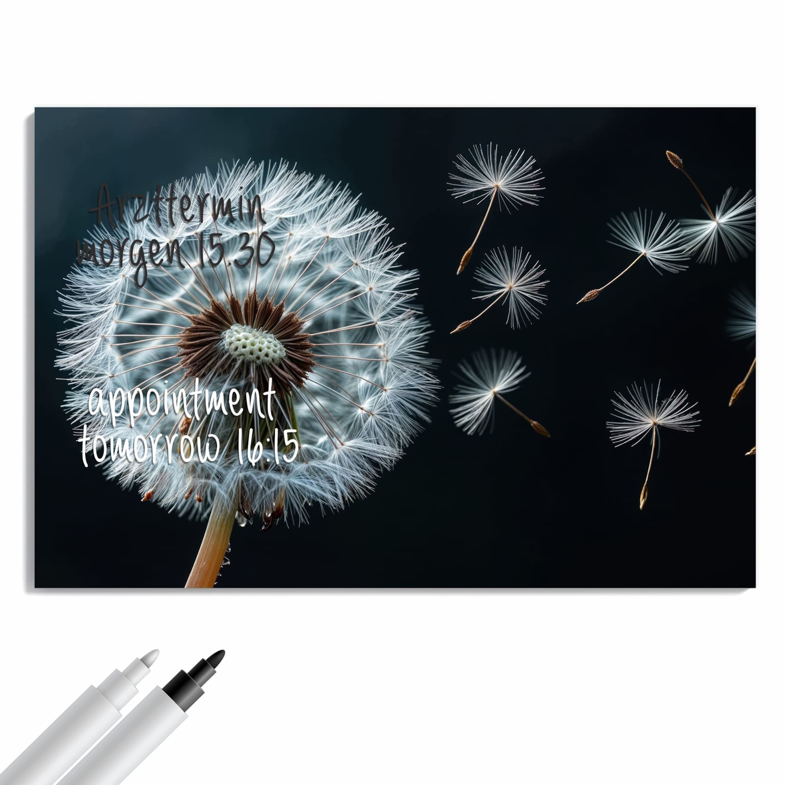 Magnetická tabule – obraz na zeď Pampeliška ve větru – motiv 2 | 90 × 60 cm