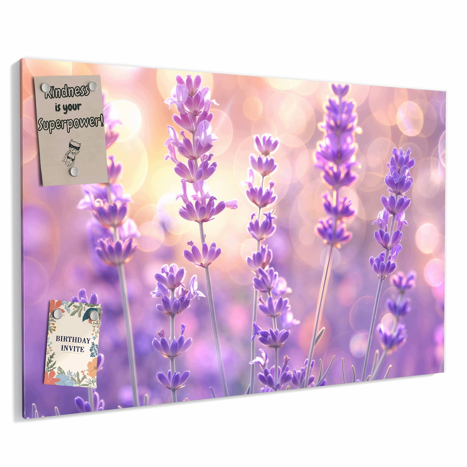 Magnetická tabule – obraz na zeď Pole kvetoucí levandule | 90 × 60 cm