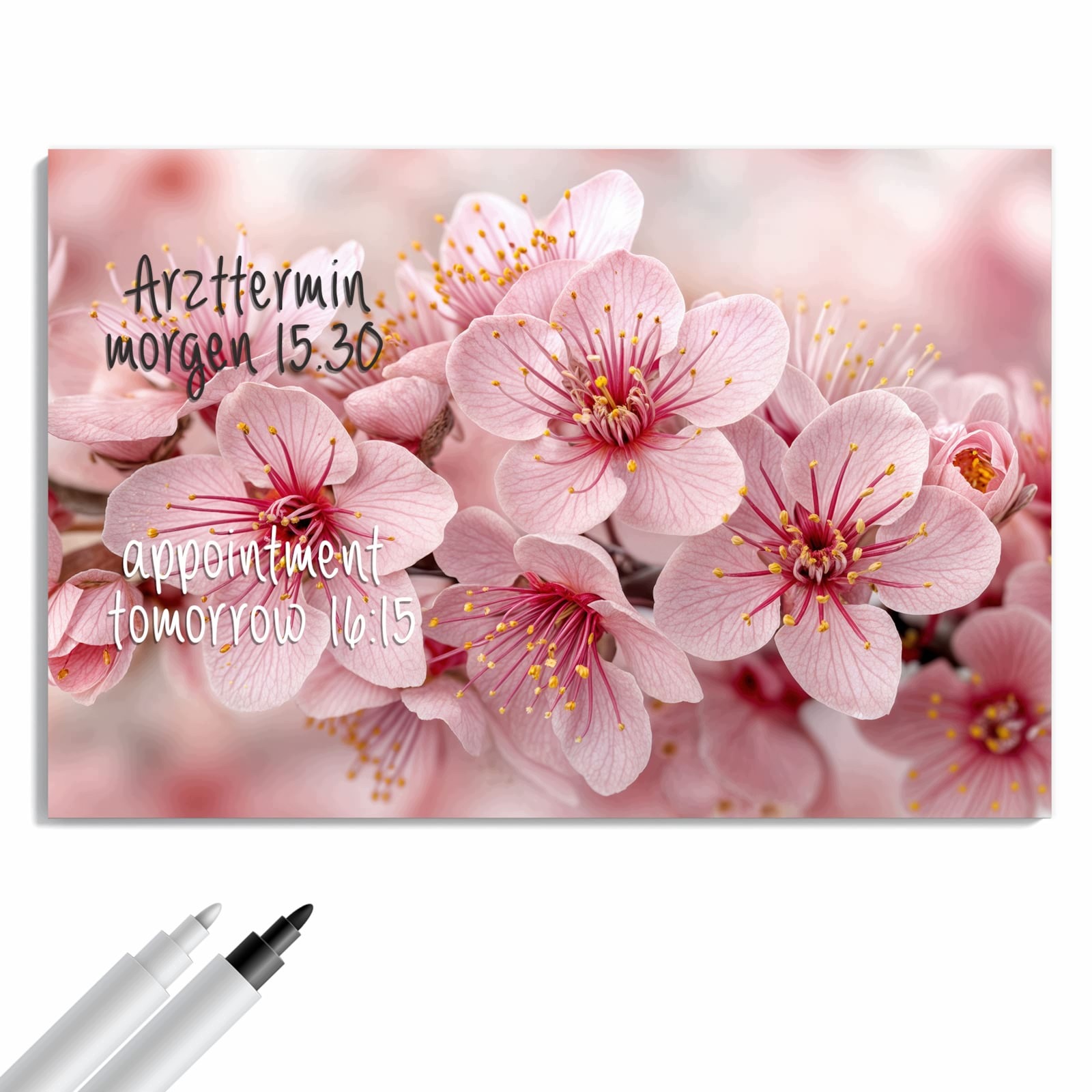 Magnetická tabule – obraz na zeď Větvička květu třešní | 90 × 60 cm