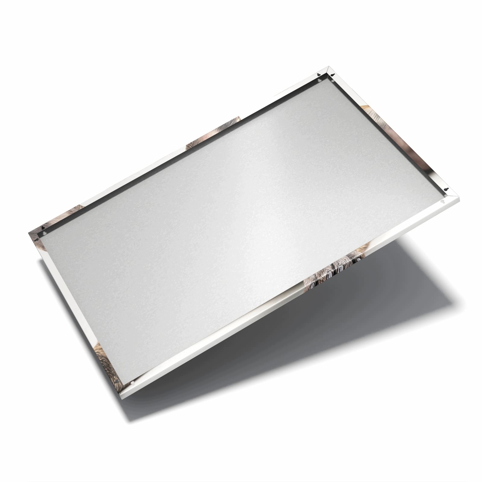 Magnetická tabule – obraz na zeď Portrét francouzského buldočka | 90 × 60 cm