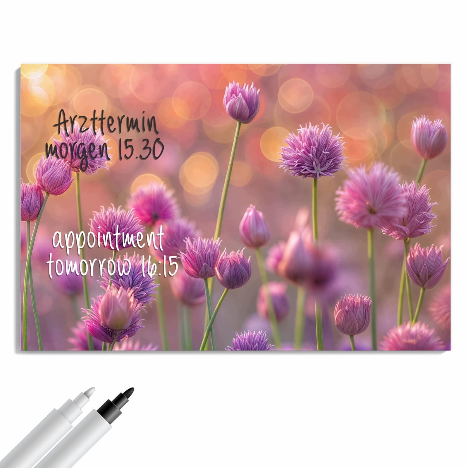 Magnetická tabule – obraz na zeď Kvetoucí okrasný česnek | 60 × 40 cm