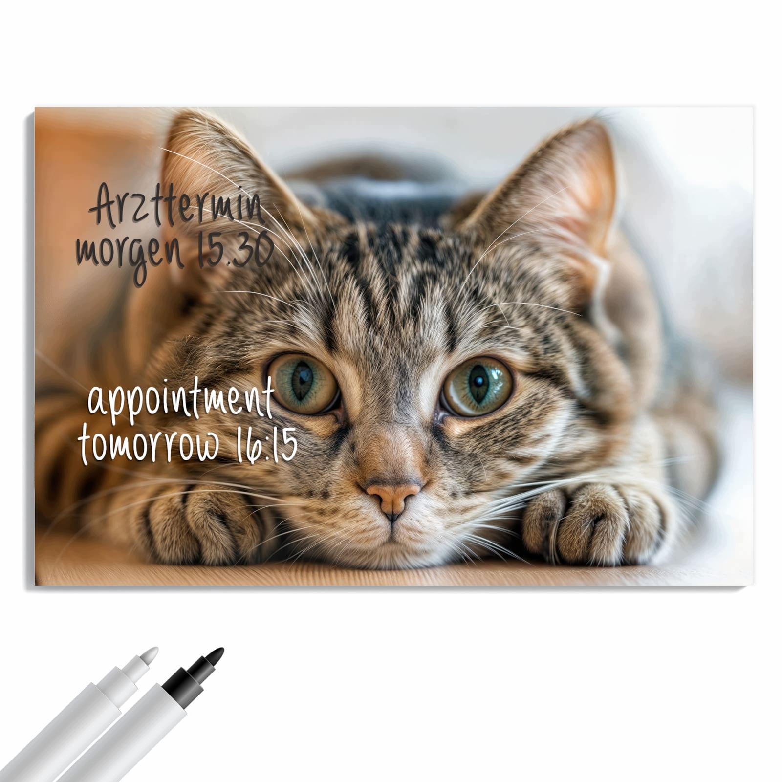 Magnetická tabule – obraz na zeď Objímající se kočka | 90 × 60 cm
