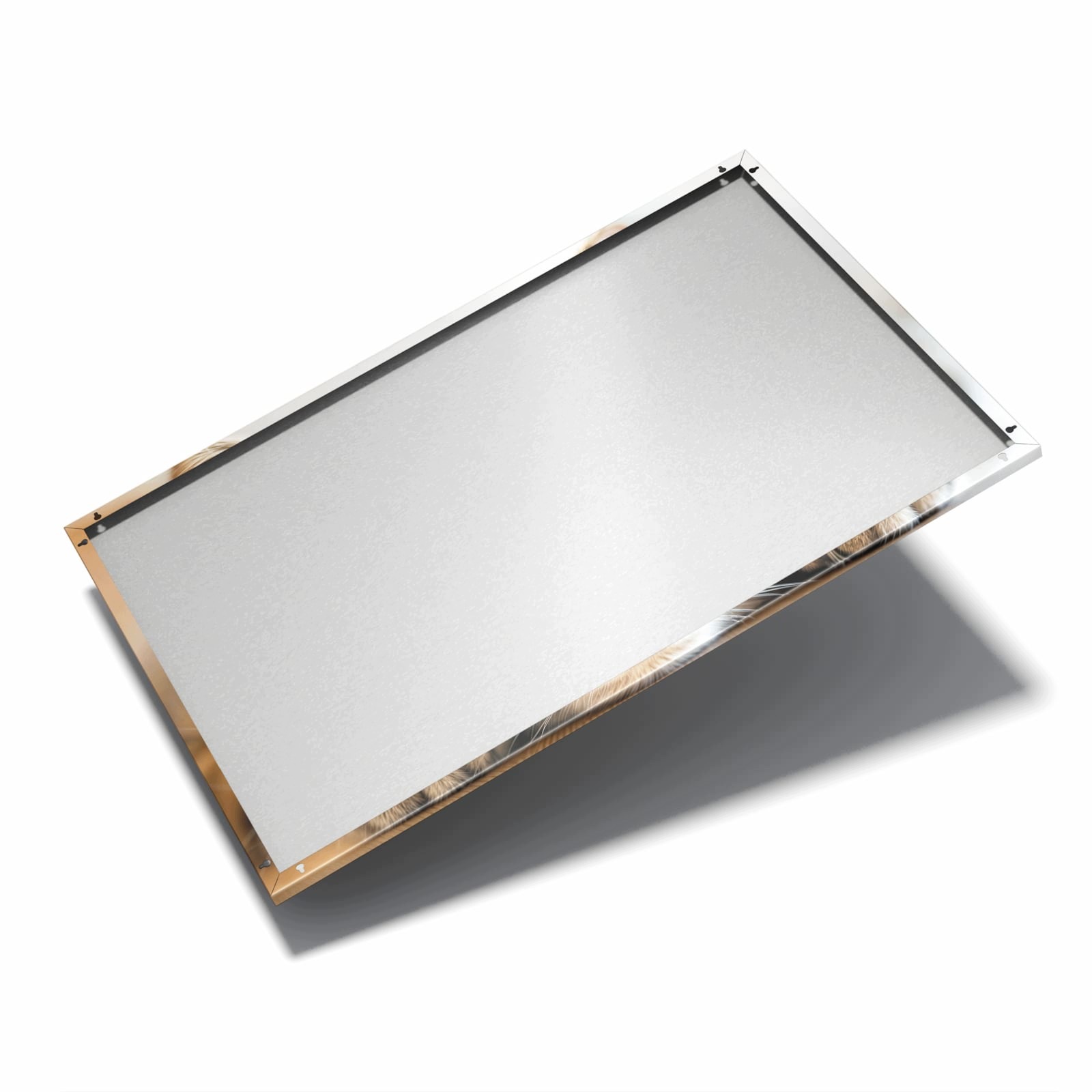 Magnetická tabule – obraz na zeď Objímající se kočka | 90 × 60 cm