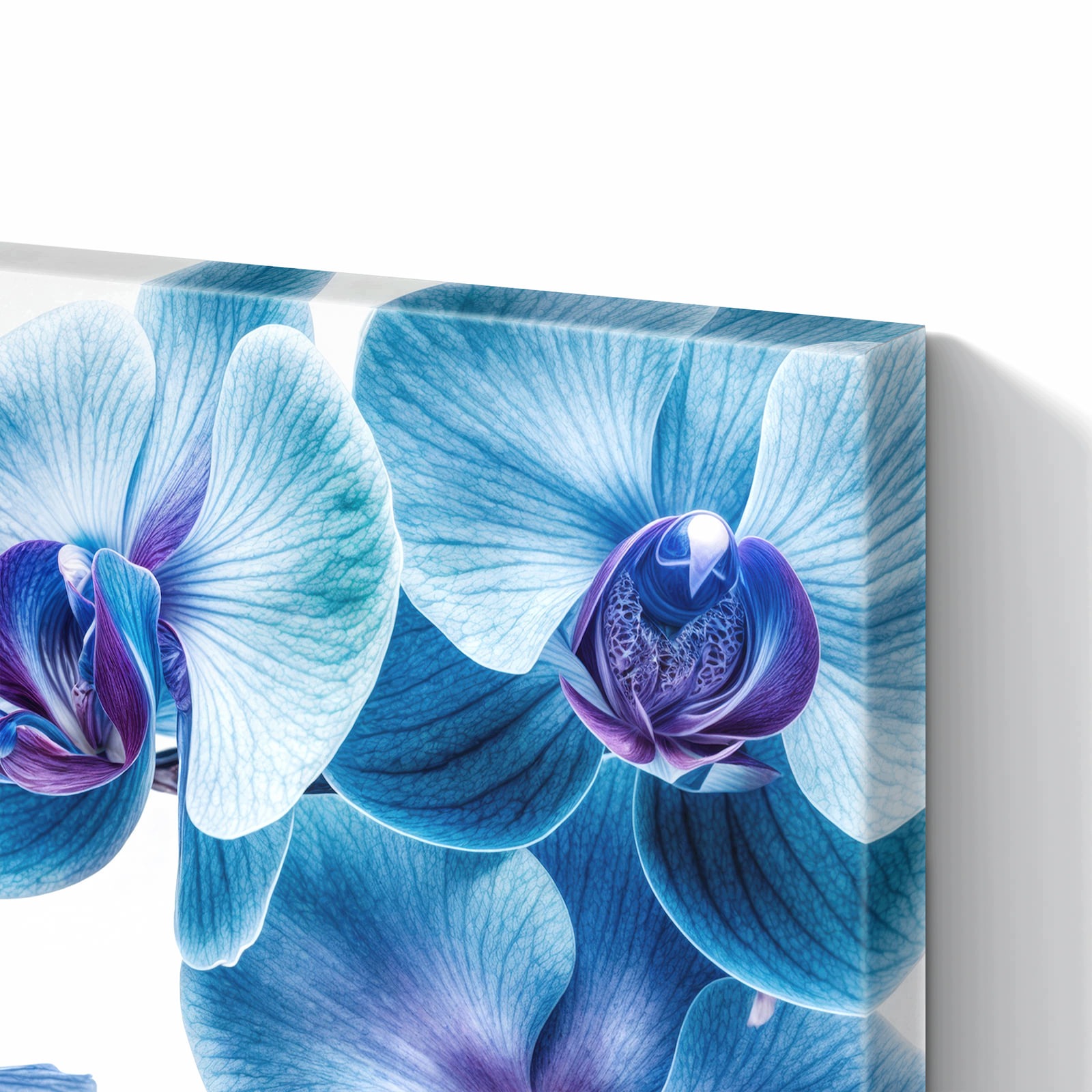Magnetická tabule – obraz na zeď Modrá orchidej | 60 × 40 cm