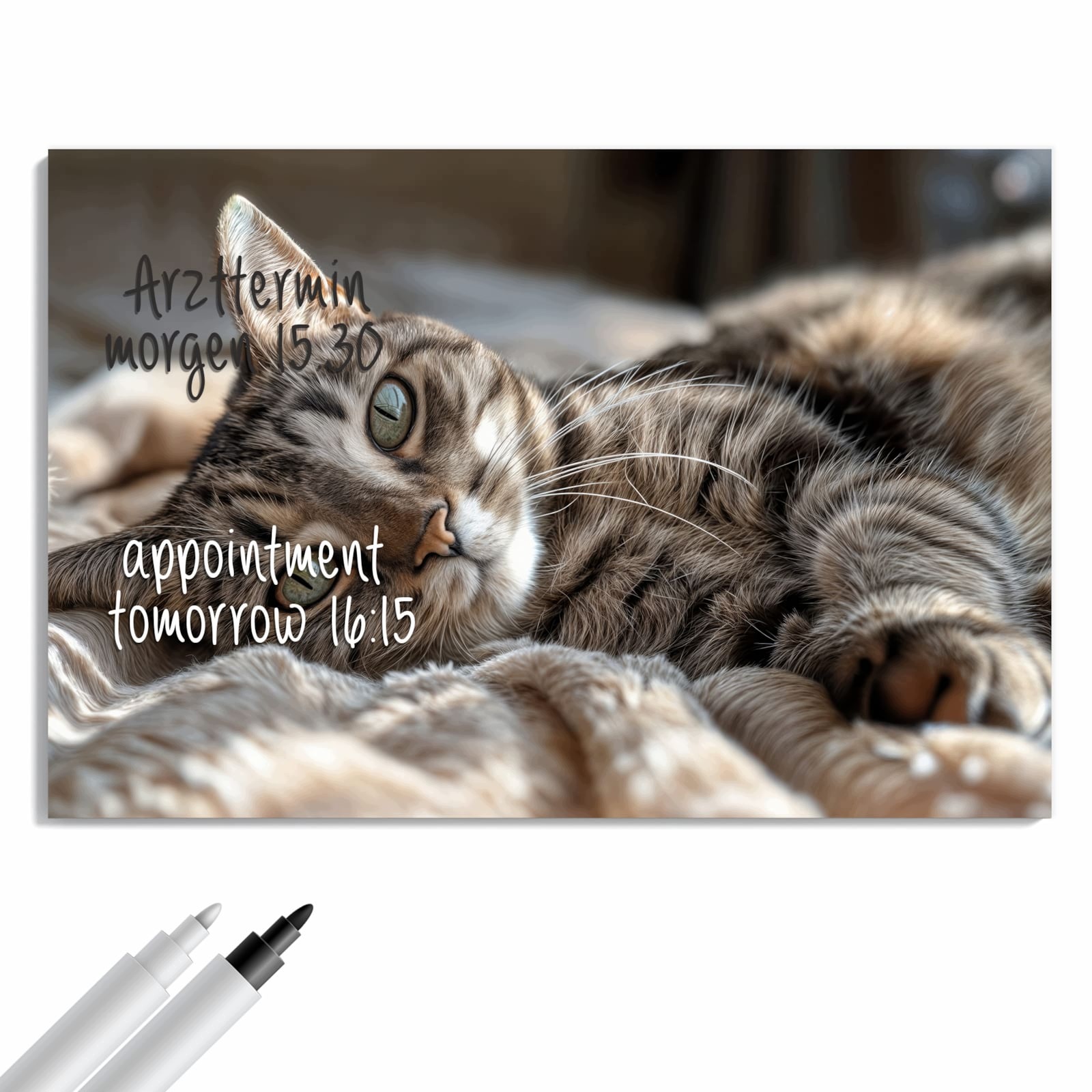 Magnetická tabule – obraz na zeď Útulná kočka – motiv 1 | 60 × 40 cm