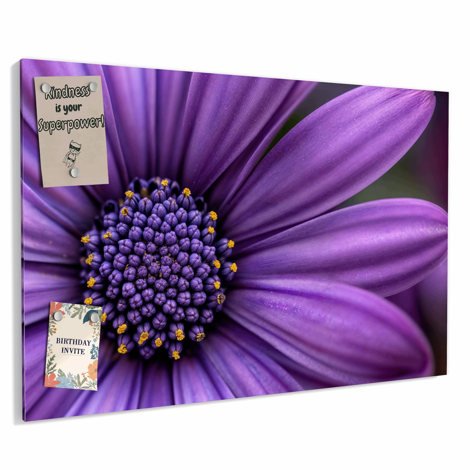 Magnetická tabule – obraz na zeď Detail květiny – motiv 1 | 60 × 40 cm