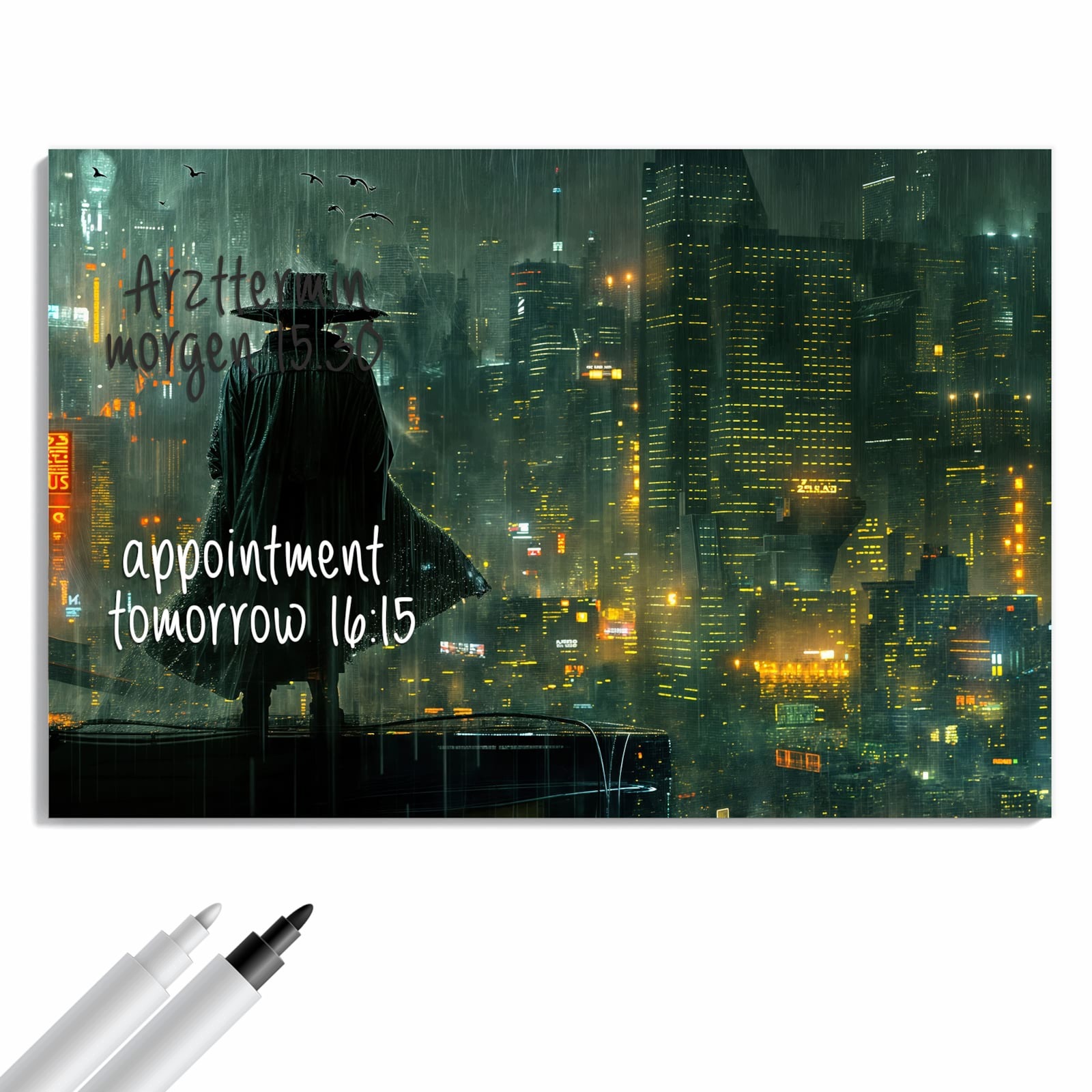 Magnetická tabule – obraz na zeď Pláštěnka ve městě | 90 × 60 cm