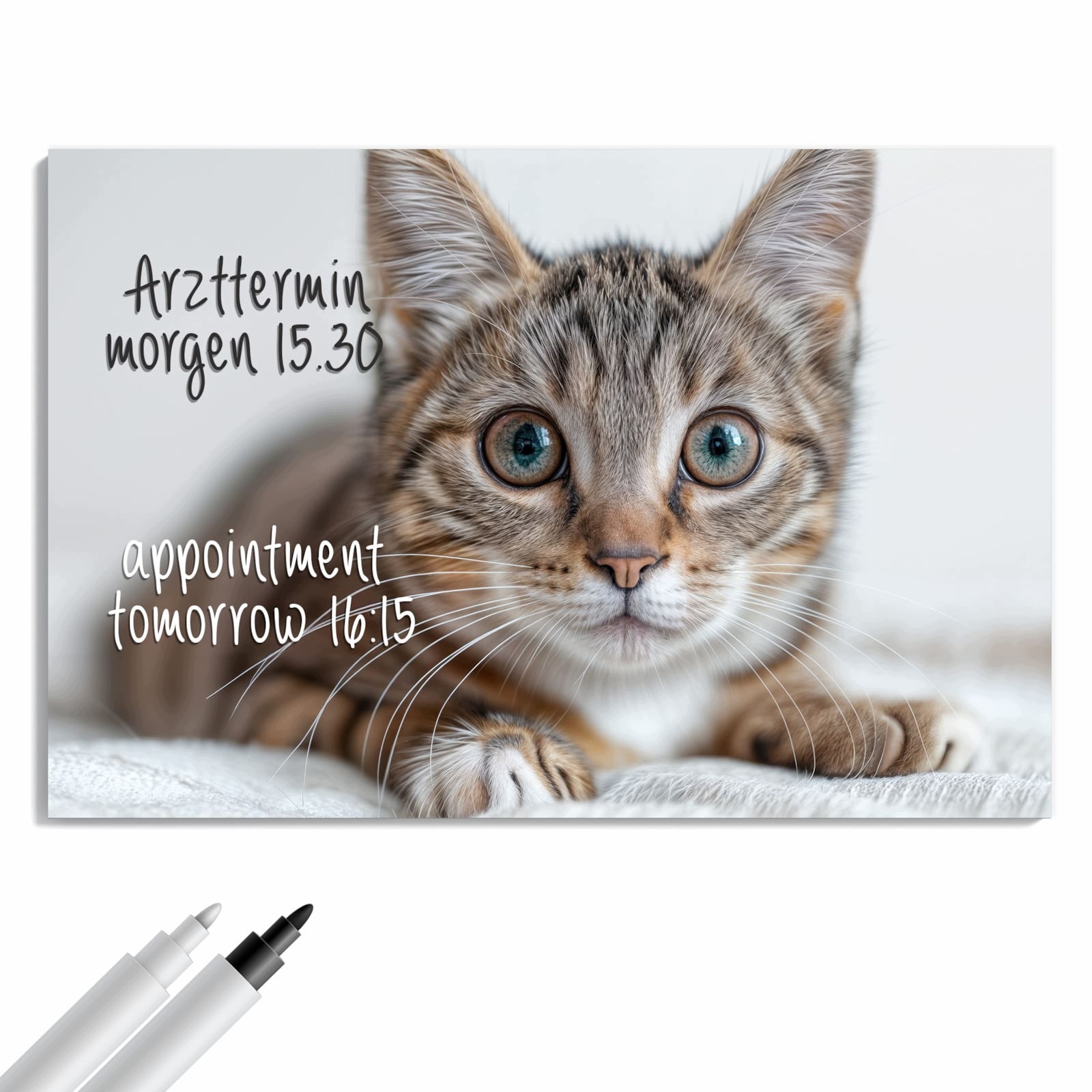 Magnetická tabule – obraz na zeď Roztomilá malá kočka | 60 × 40 cm