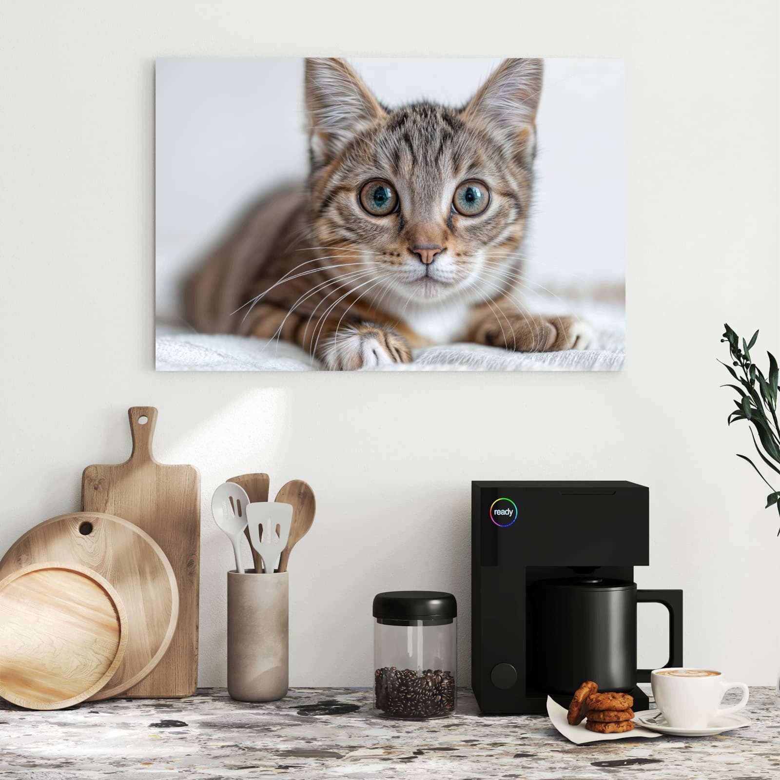 Magnetická tabule – obraz na zeď Roztomilá malá kočka | 60 × 40 cm