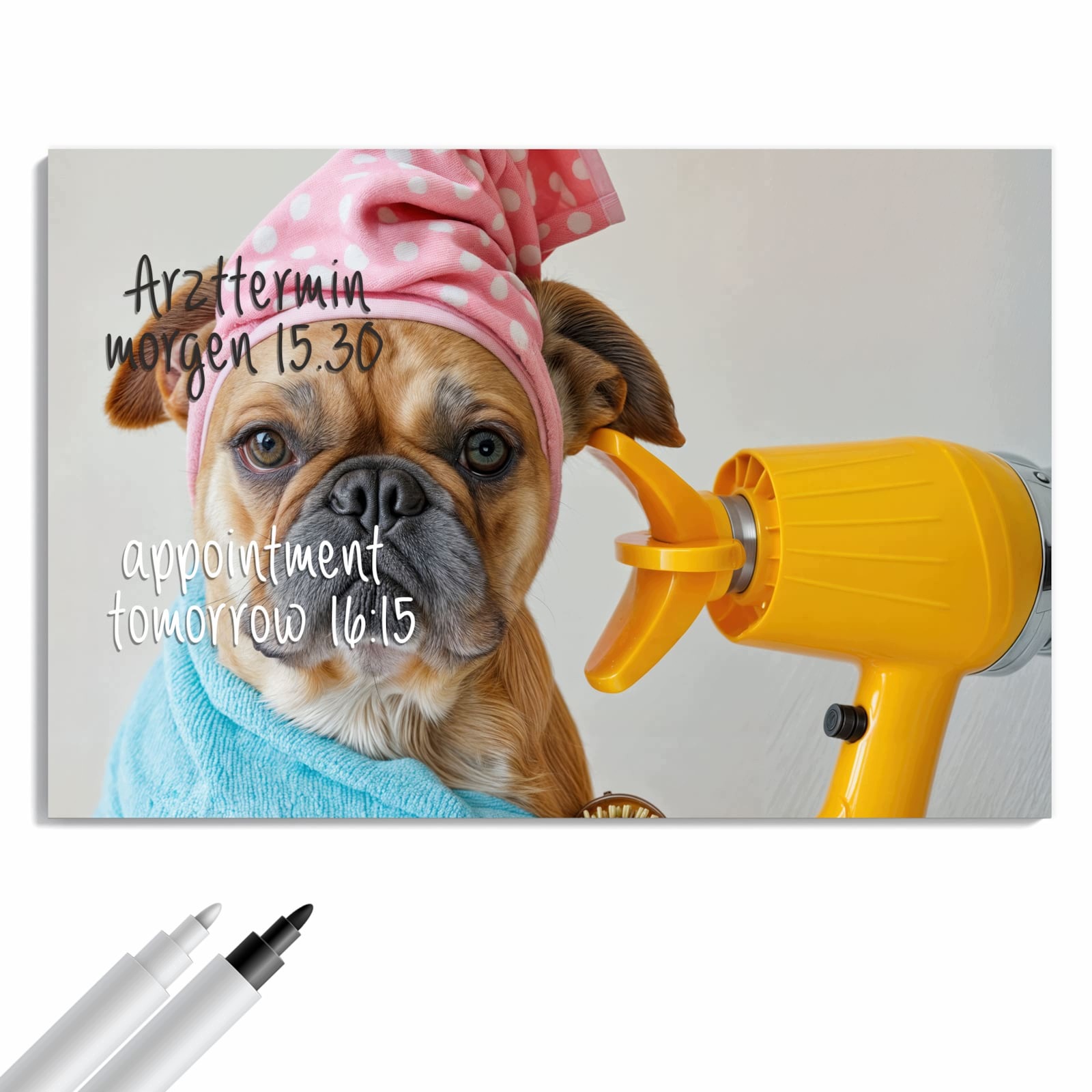 Magnetická tabule – obraz na zeď Pes na plážové osušce | 90 × 60 cm