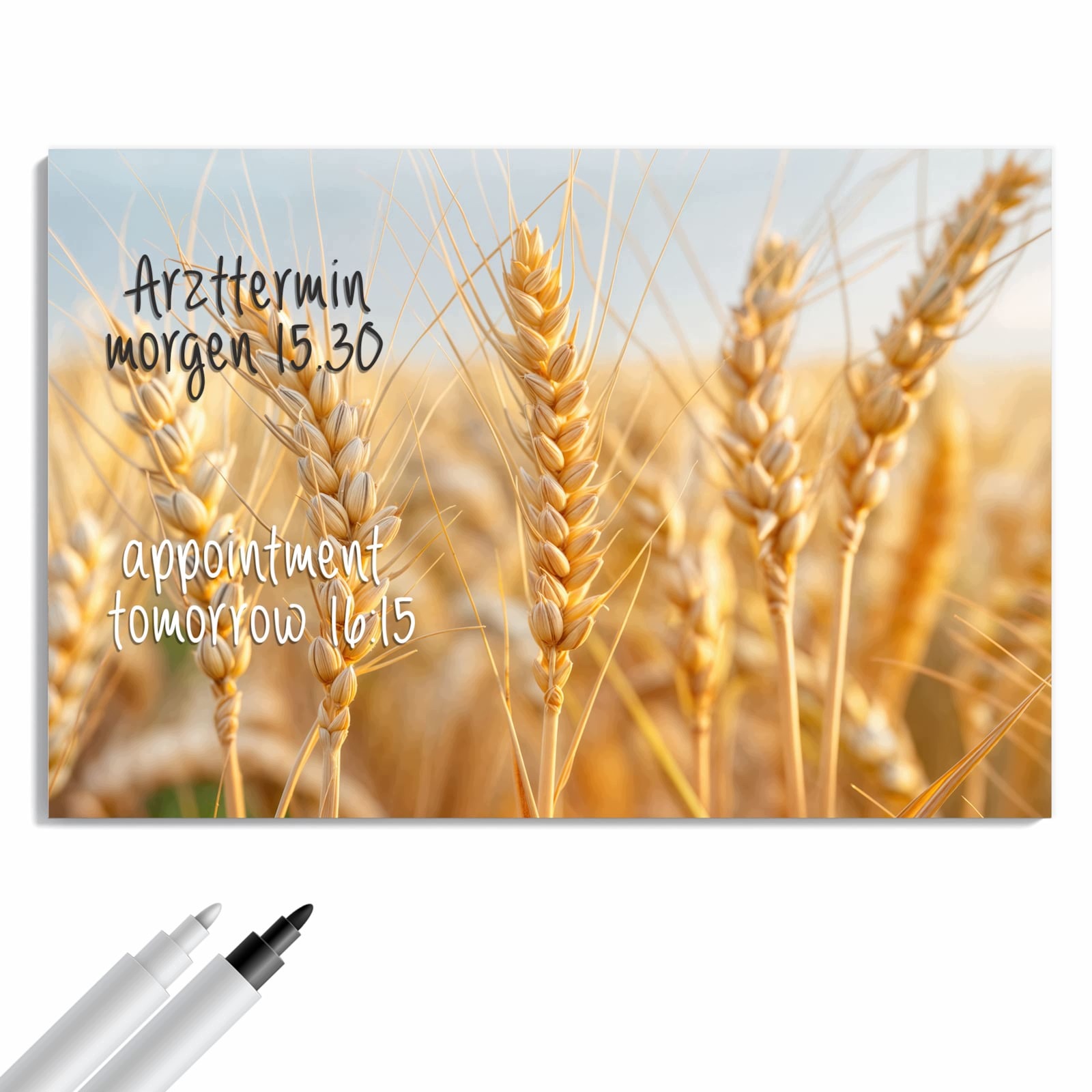 Magnetická tabule – obraz na zeď Pole pšenice – motiv 1 | 60 × 40 cm