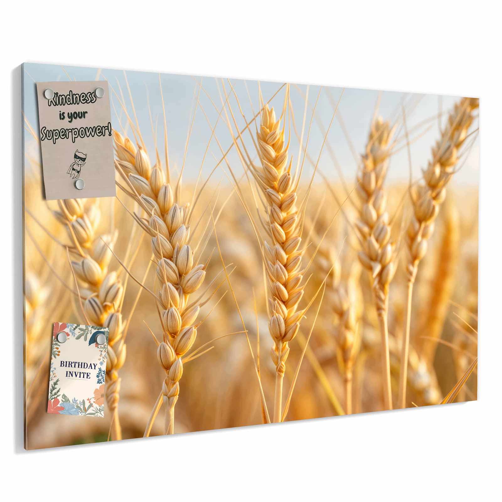 Magnetická tabule – obraz na zeď Pole pšenice – motiv 1 | 60 × 40 cm