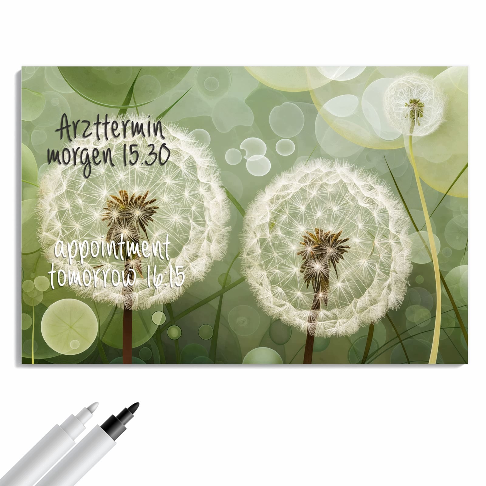 Magnetická tabule – obraz na zeď Jemné květiny pampelišky | 60 × 40 cm