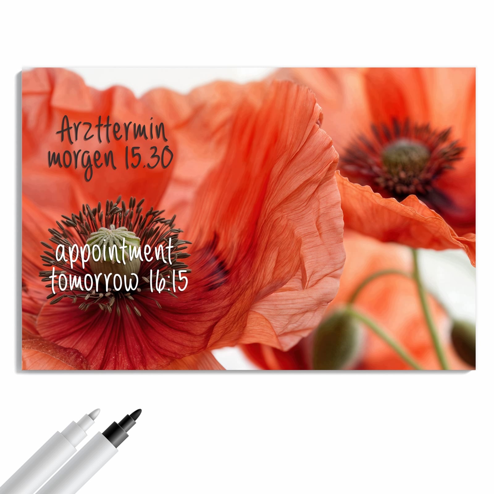Magnetická tabule – obraz na zeď Květiny máku | 90 × 60 cm
