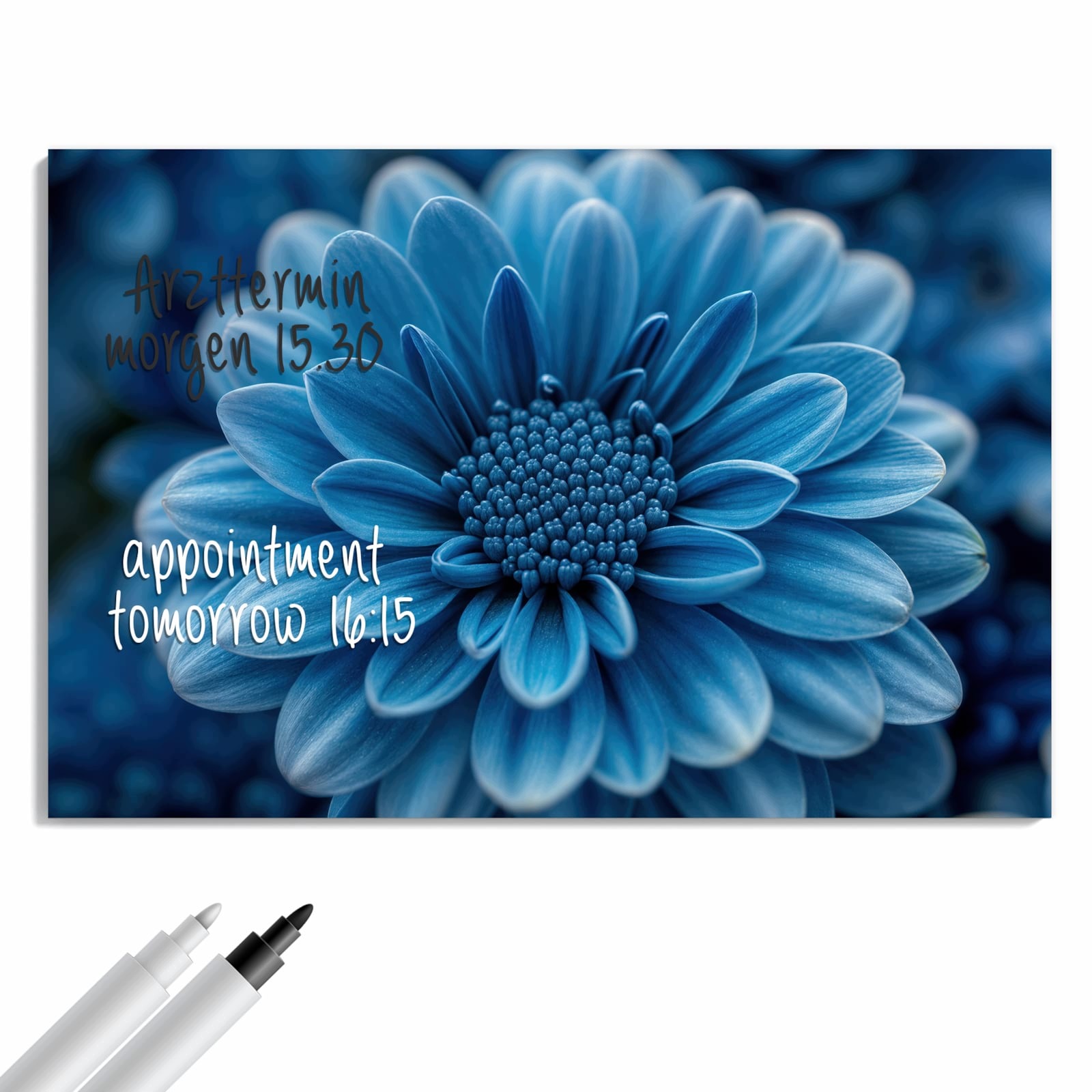 Magnetická tabule – obraz na zeď Modrá květina | 60 × 40 cm