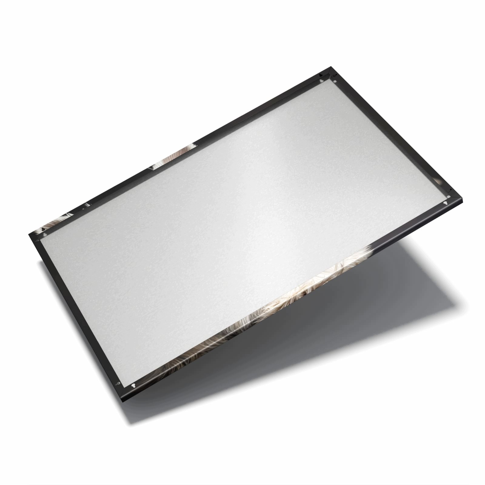 Magnetická tabule – obraz na zeď Bílý pes | 60 × 40 cm