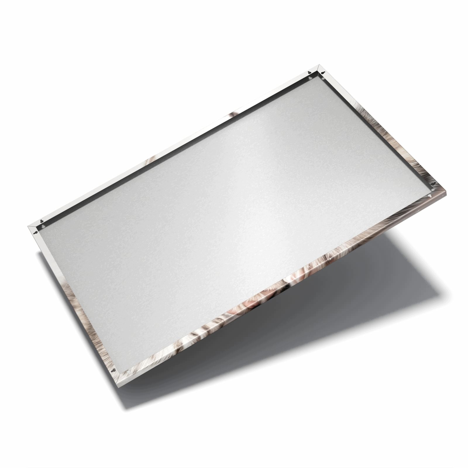 Magnetická tabule – obraz na zeď Koťátko štěně | 60 × 40 cm