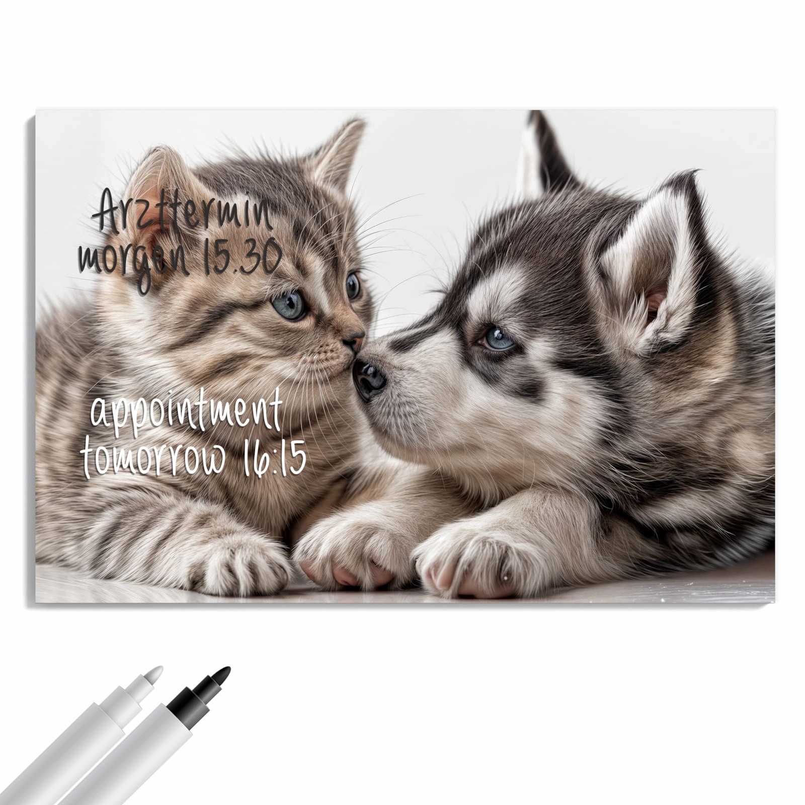 Magnetická tabule – obraz na zeď Koťátko štěně | 90 × 60 cm
