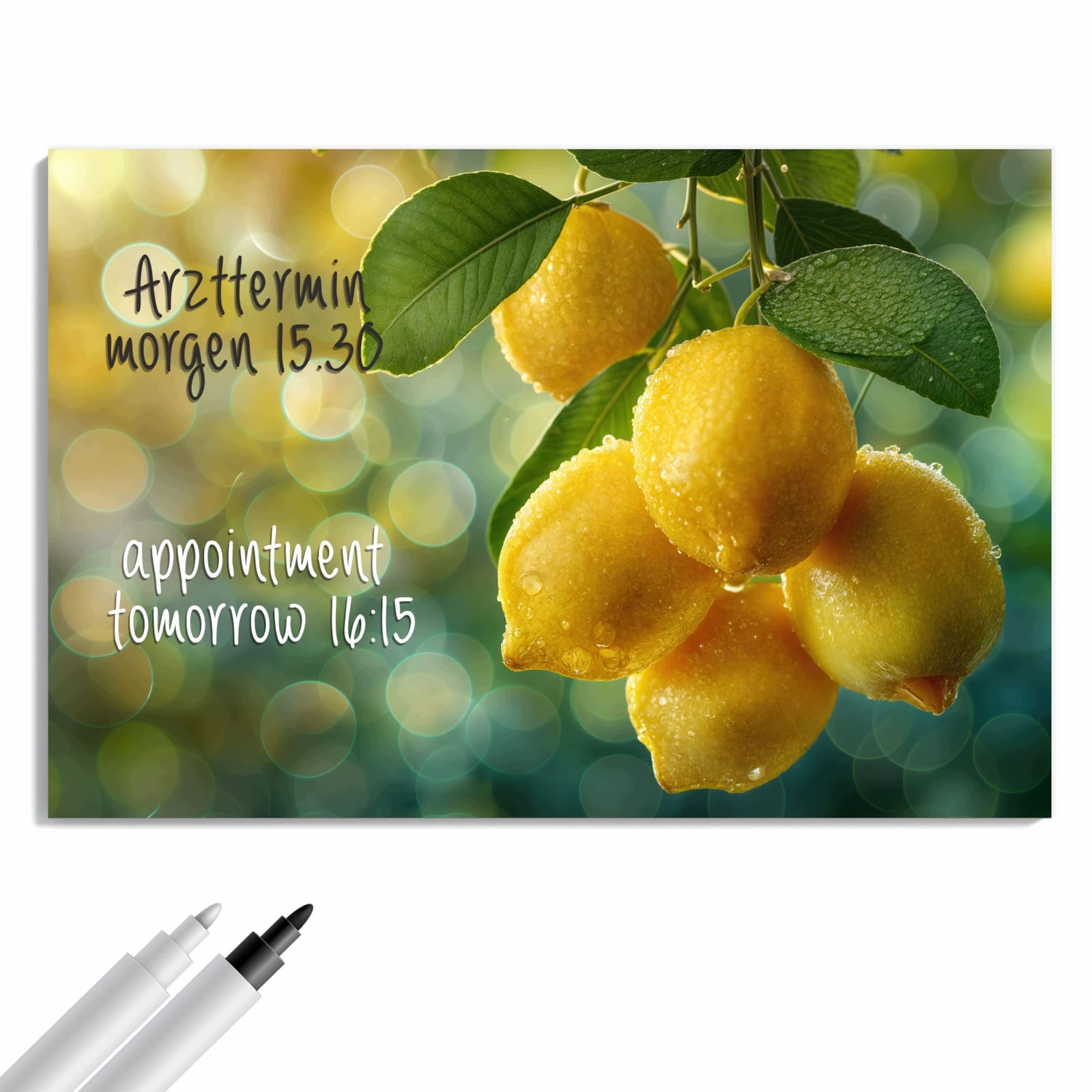 Magnetická tabule – obraz na zeď Citronovník | 60 × 40 cm
