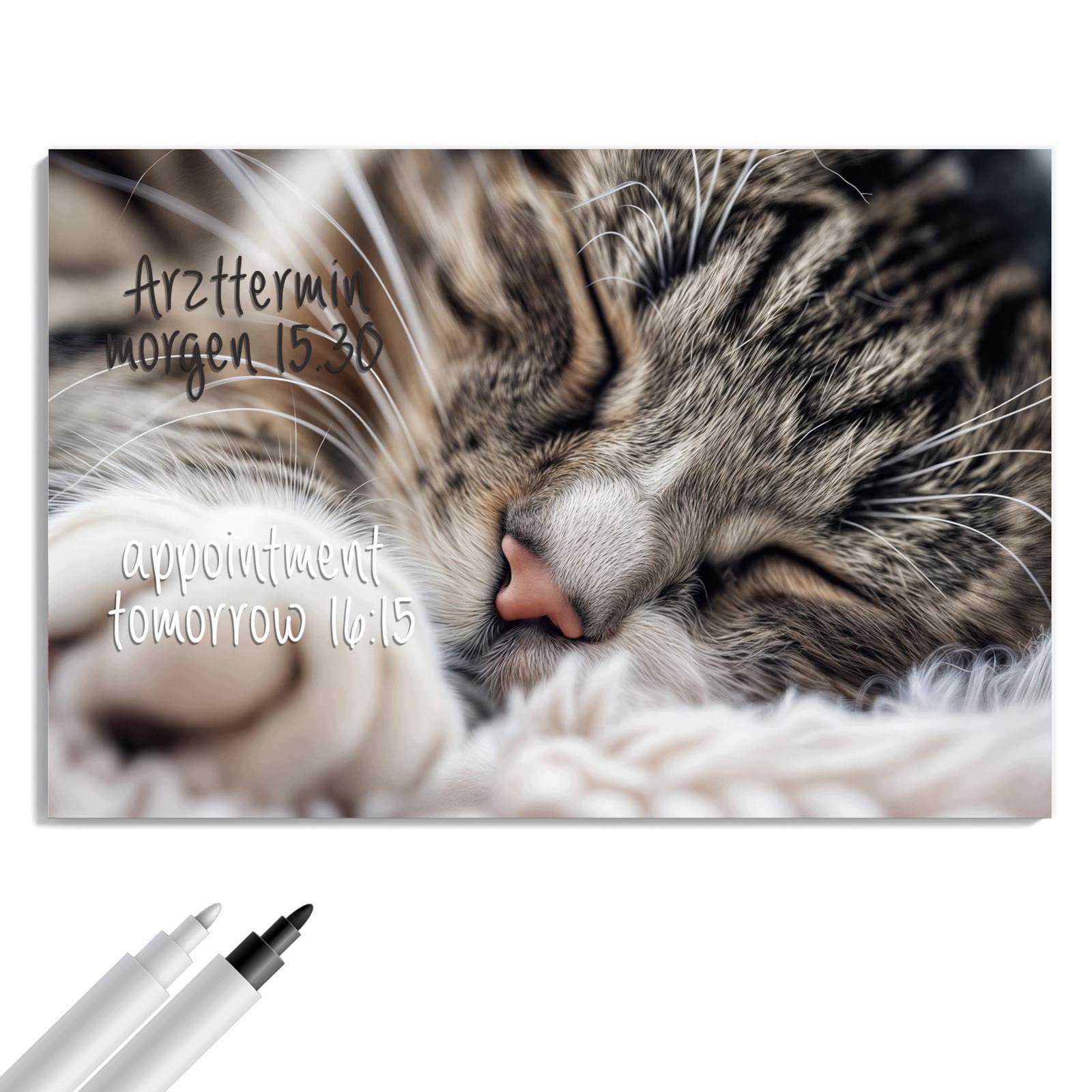 Magnetická tabule – obraz na zeď Spící kočka | 60 × 40 cm