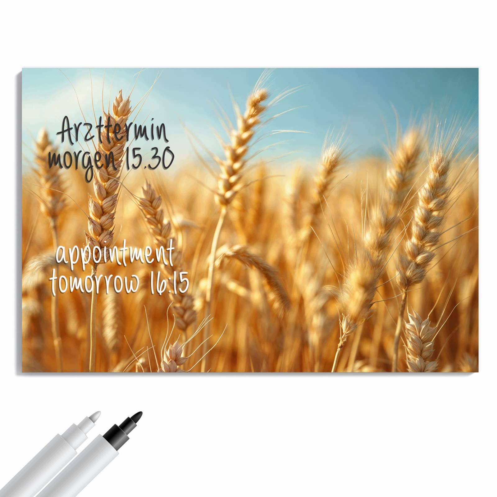 Magnetická tabule – obraz na zeď Jemné pole pšenice | 60 × 40 cm