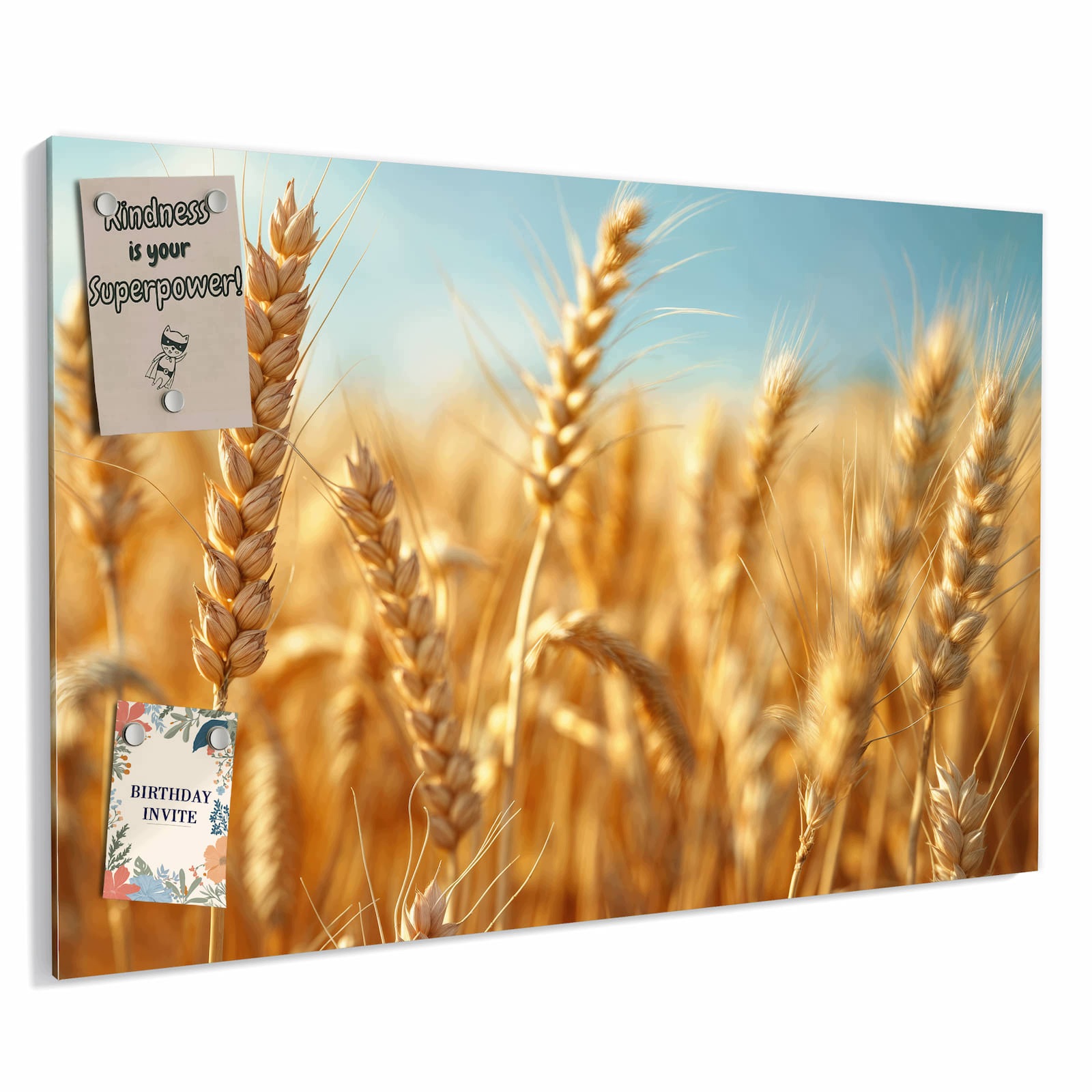 Magnetická tabule – obraz na zeď Jemné pole pšenice | 60 × 40 cm