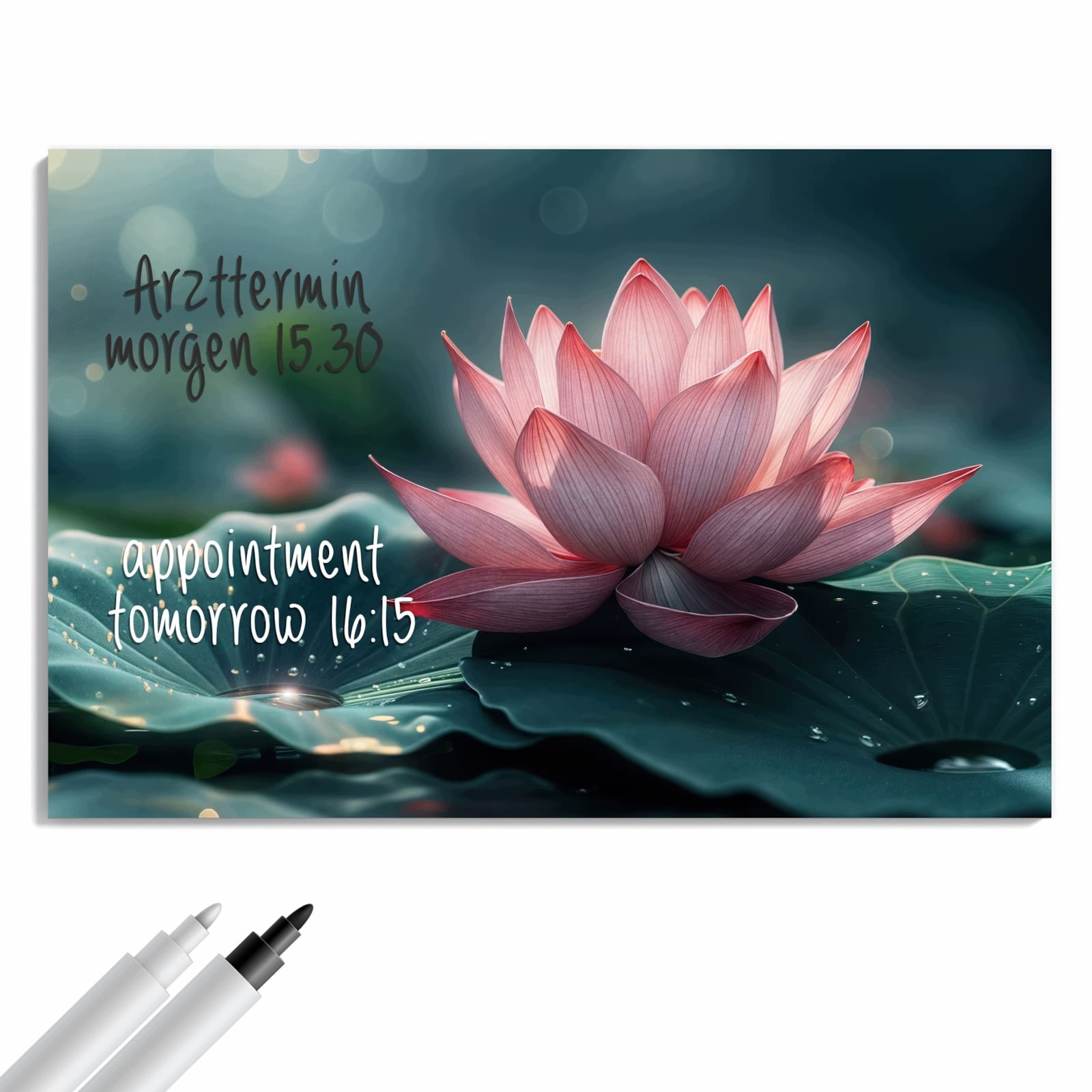 Magnetická tabule – obraz na zeď Kouzlo lotosu | 60 × 40 cm