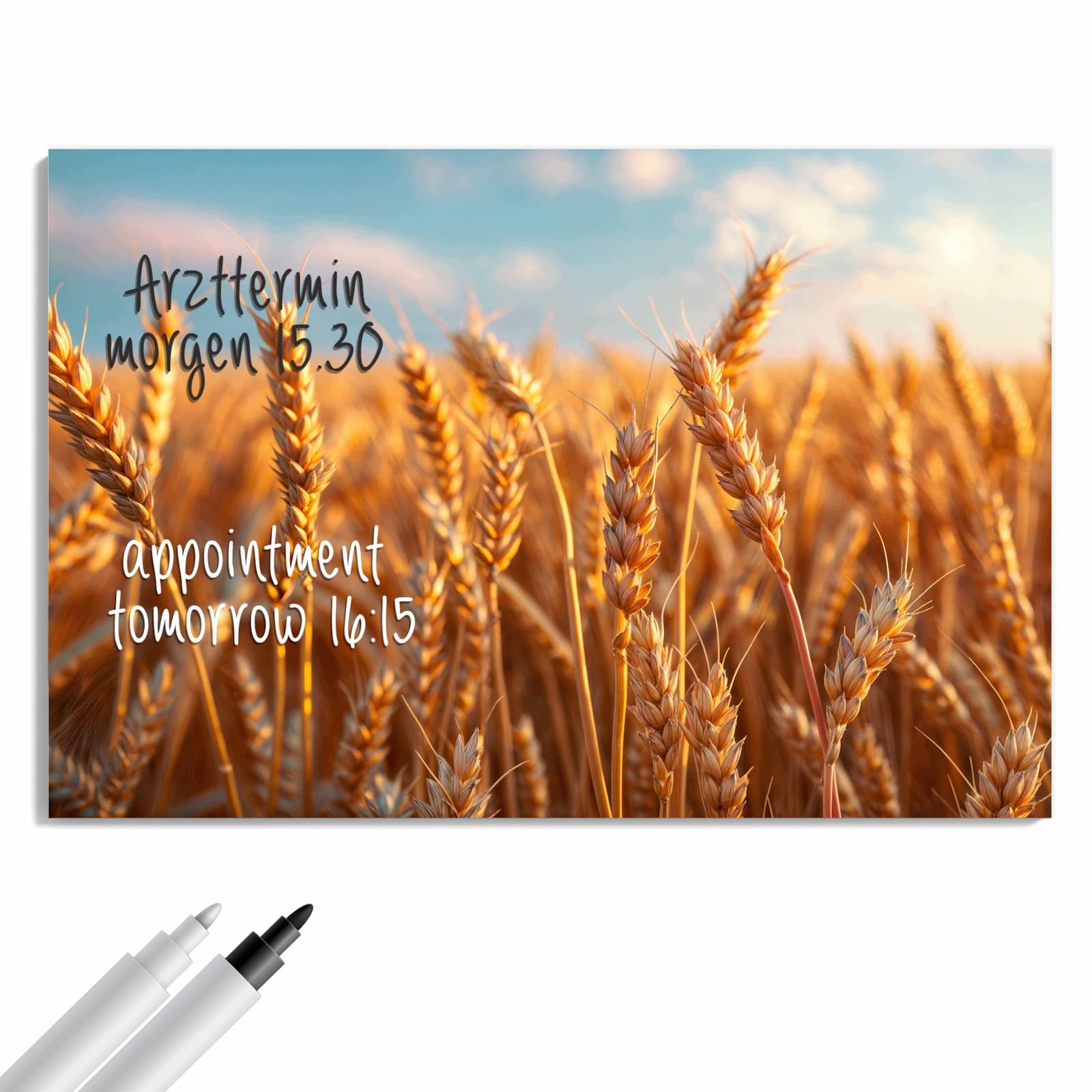 Magnetická tabule – obraz na zeď Pole pšenice západ slunce | 90 × 60 cm