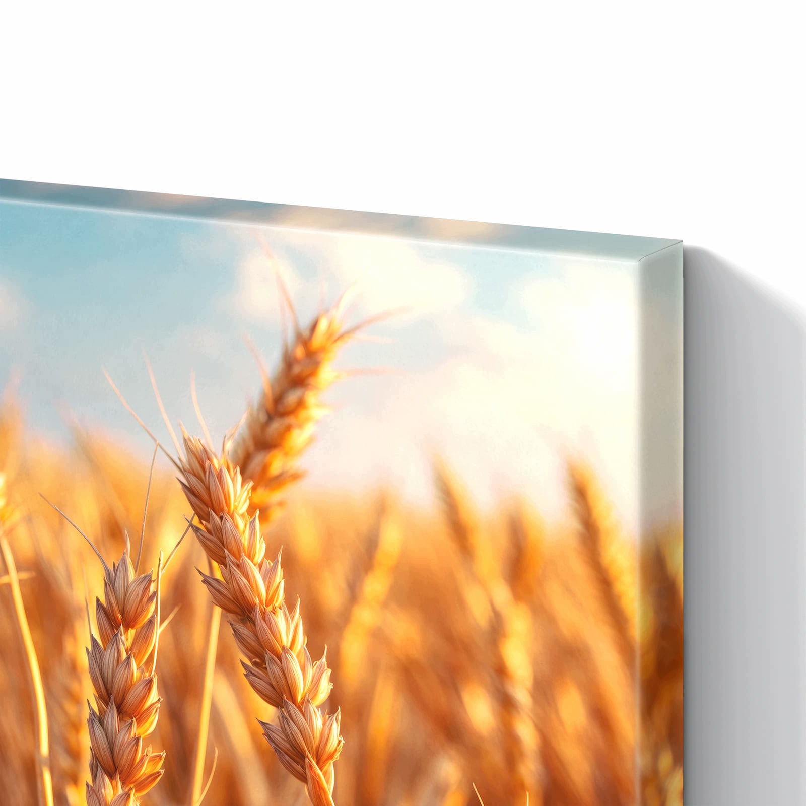 Magnetická tabule – obraz na zeď Pole pšenice západ slunce | 90 × 60 cm