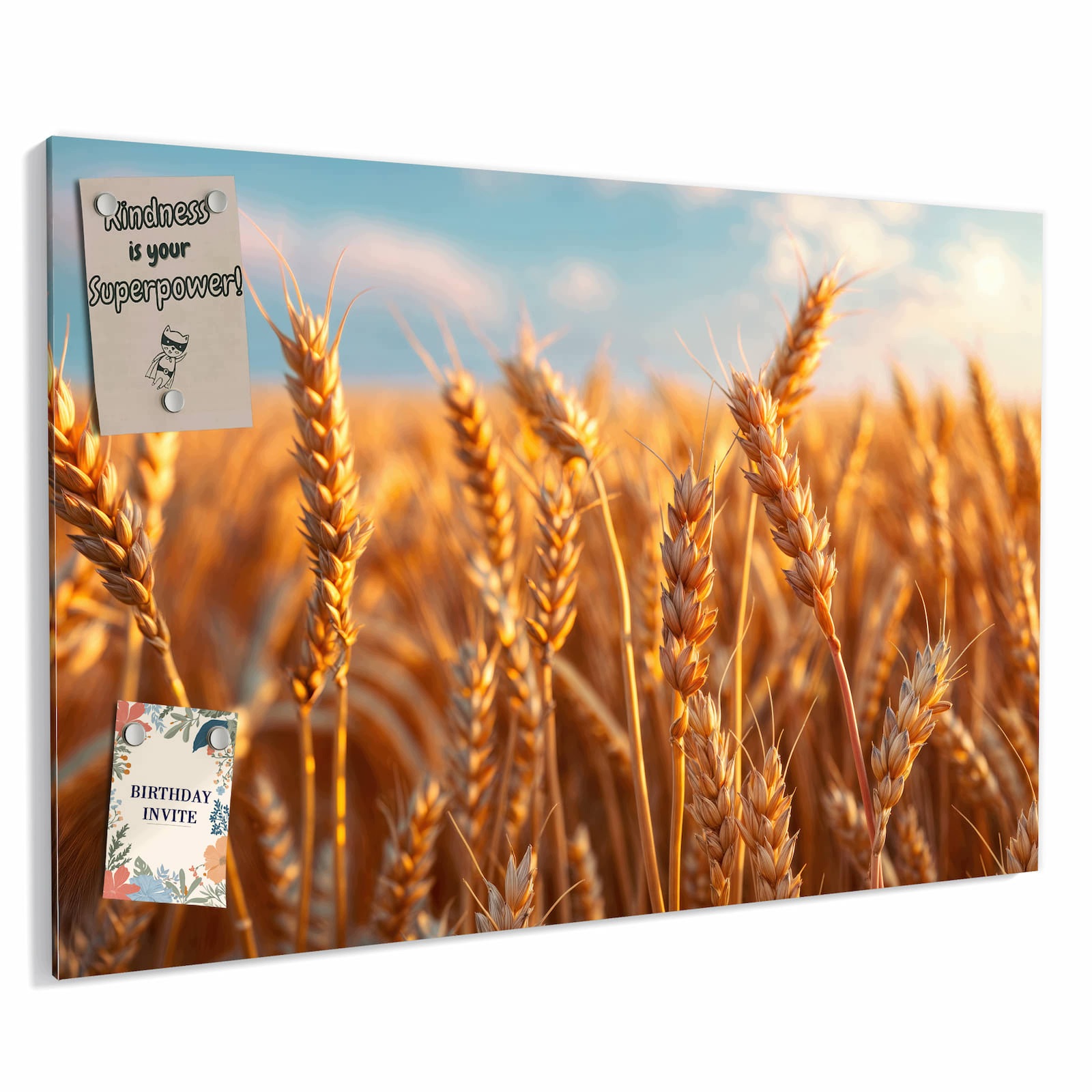 Magnetická tabule – obraz na zeď Pole pšenice západ slunce | 90 × 60 cm