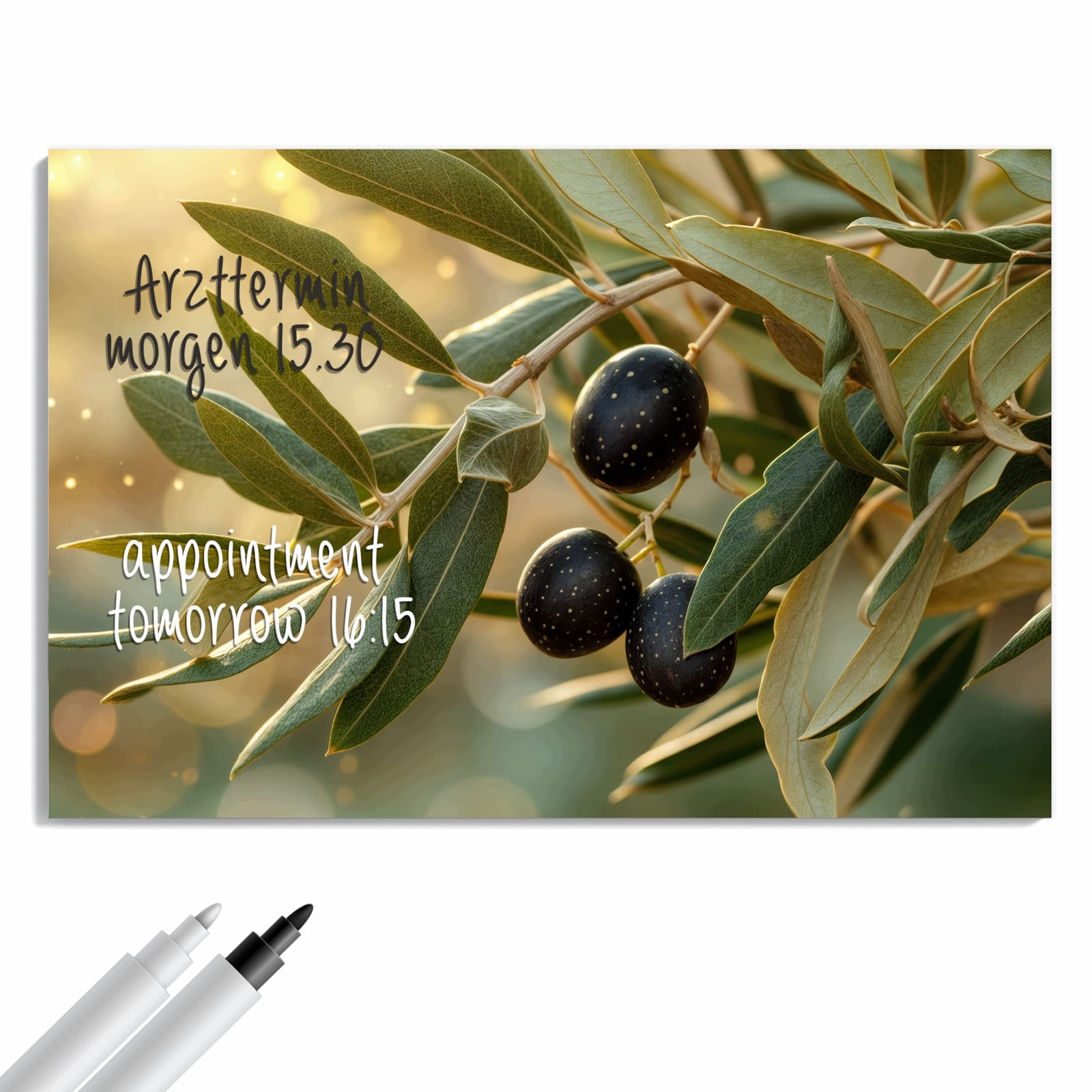 Magnetická tabule – obraz na zeď Olivová větvička | 60 × 40 cm