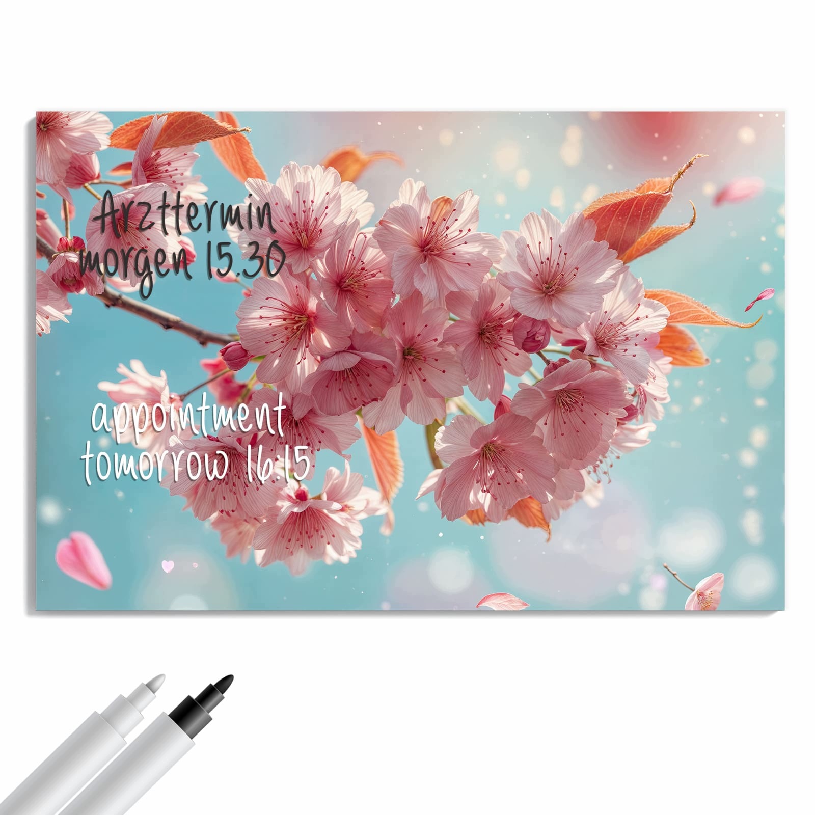 Magnetická tabule – obraz na zeď Třešňové květy a obloha | 90 × 60 cm