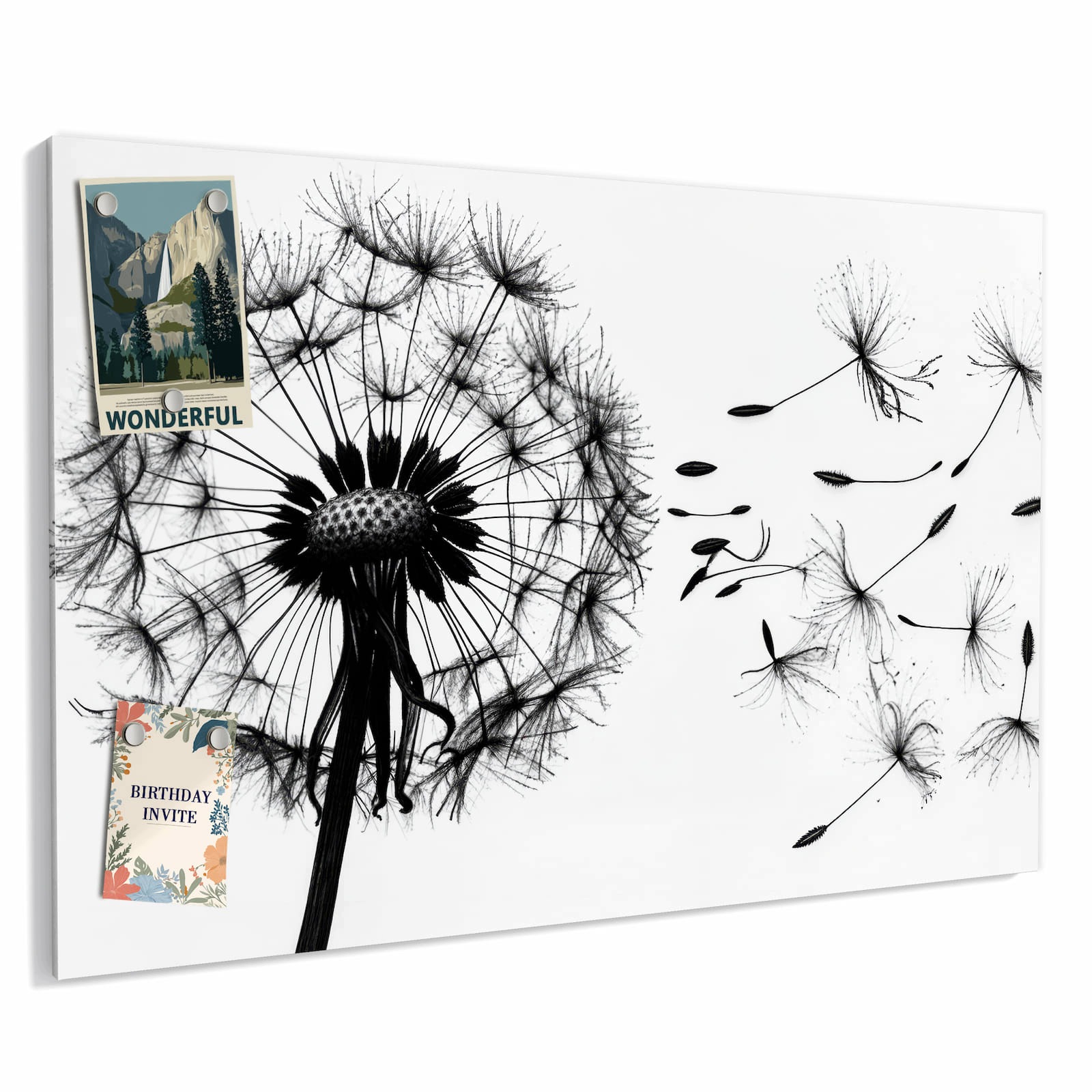 Magnetická tabule – obraz na zeď Pampeliška | 60 × 40 cm