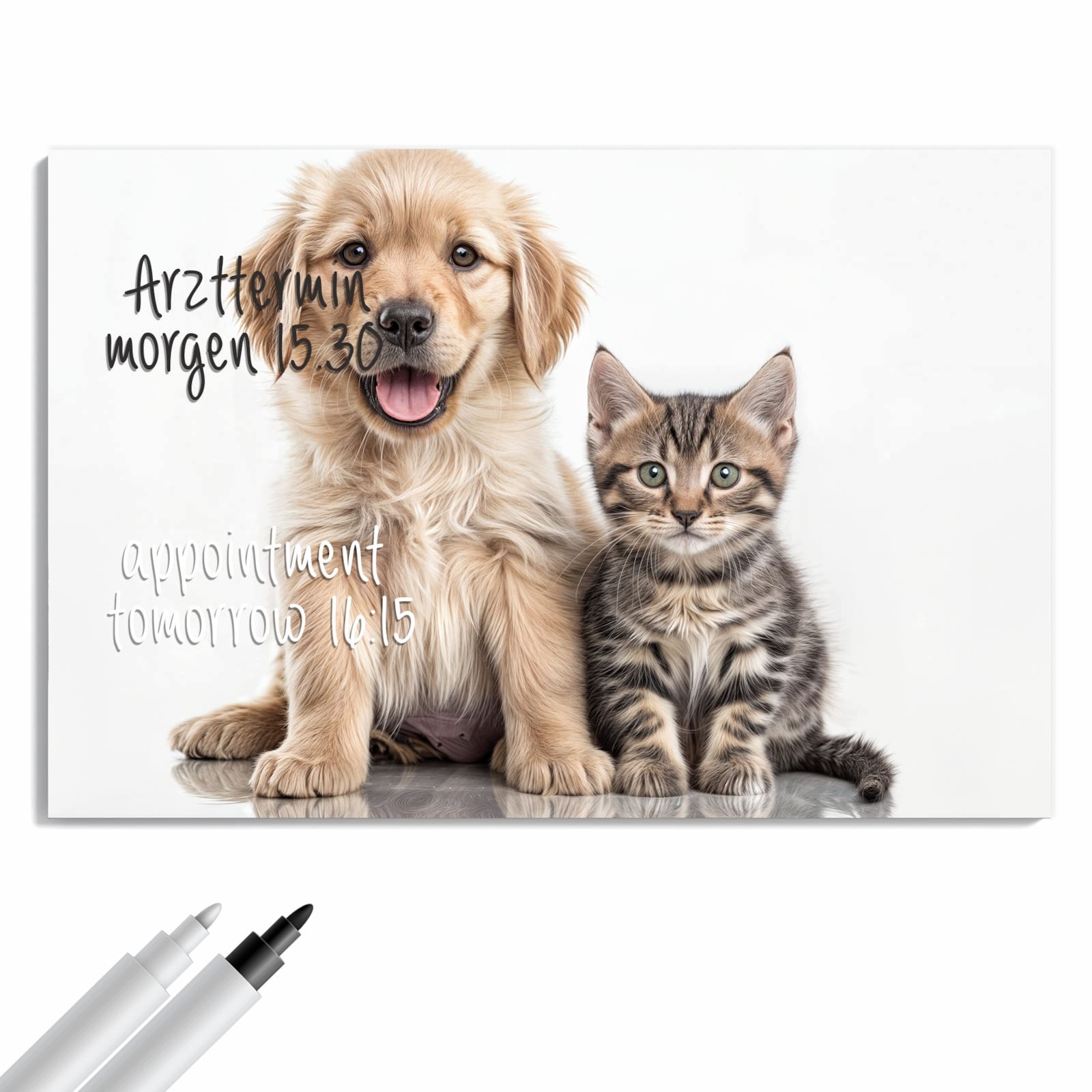 Magnetická tabule – obraz na zeď Kočka pes | 60 × 40 cm