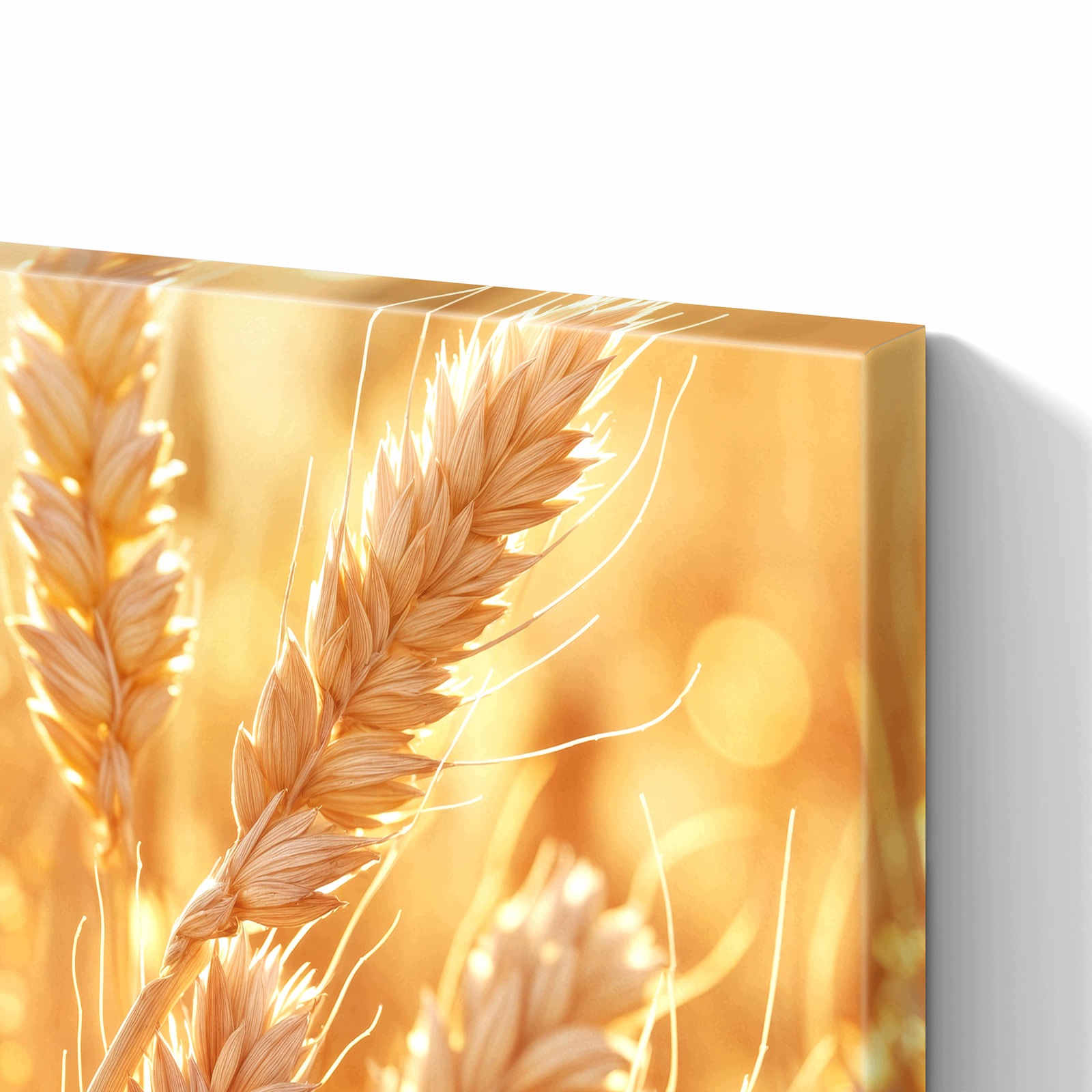 Magnetická tabule – obraz na zeď Pole pšenice – motiv 2 | 60 × 40 cm