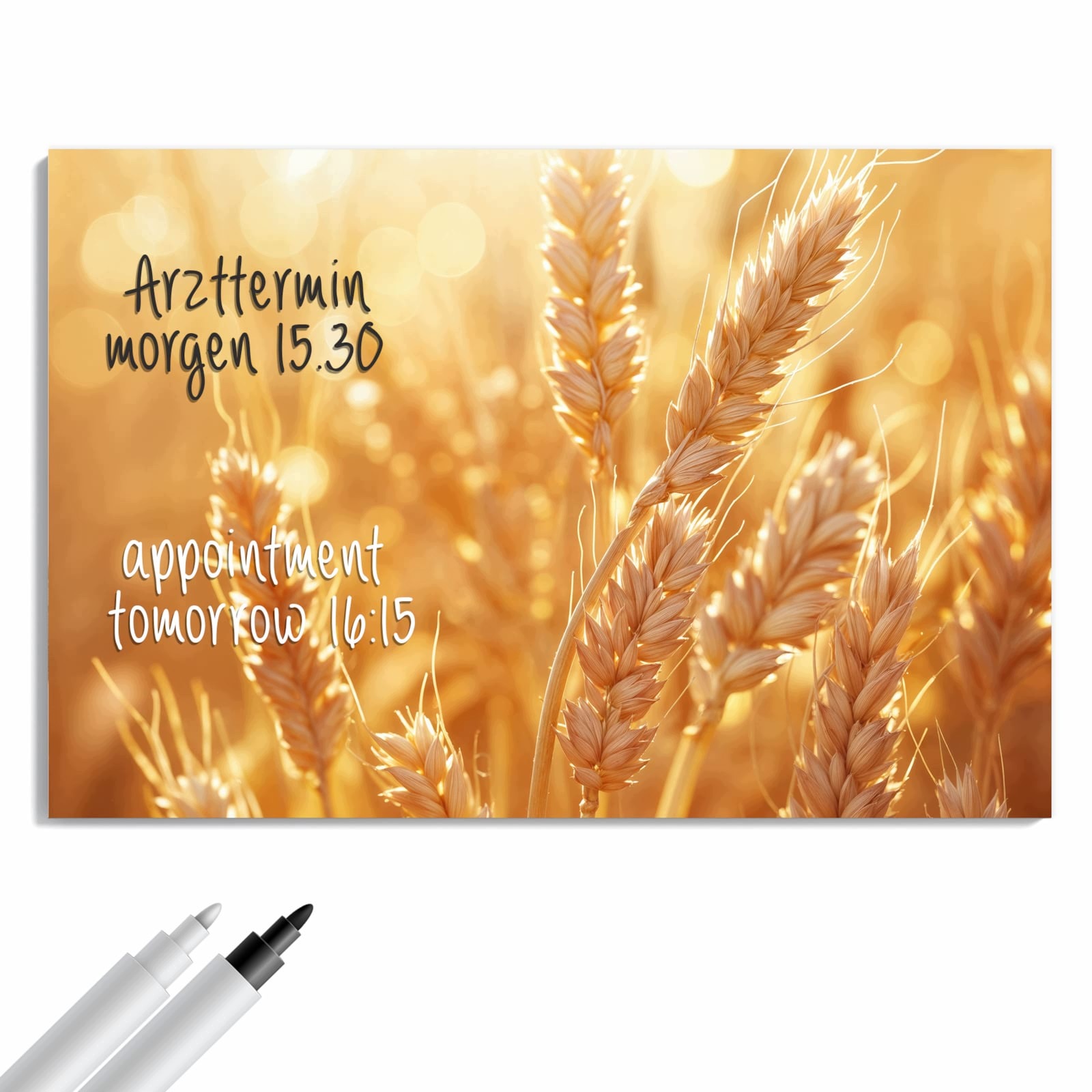 Magnetická tabule – obraz na zeď Pole pšenice – motiv 2 | 90 × 60 cm