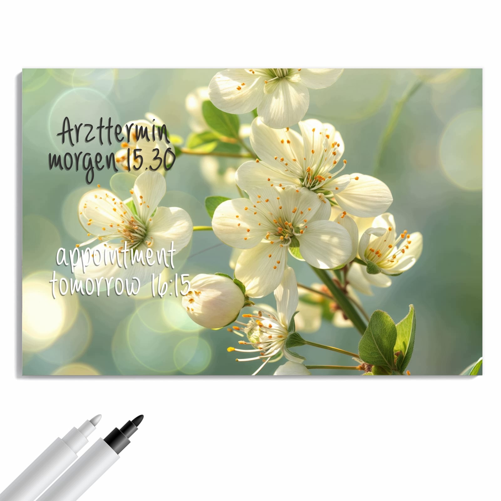 Magnetická tabule – obraz na zeď Probouzející se jaro | 60 × 40 cm