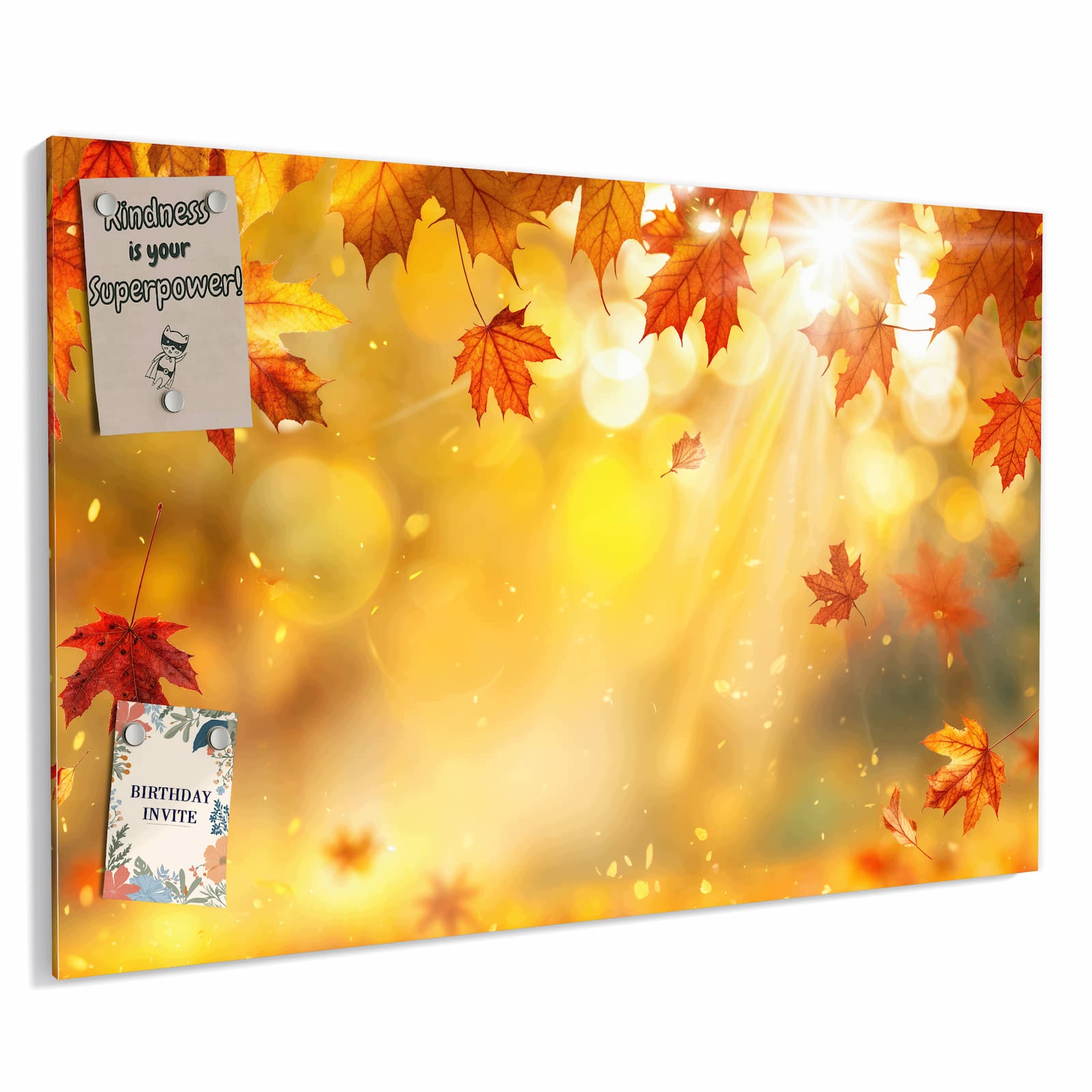 Magnetická tabule – obraz na zeď Podzimní listy slunce | 60 × 40 cm