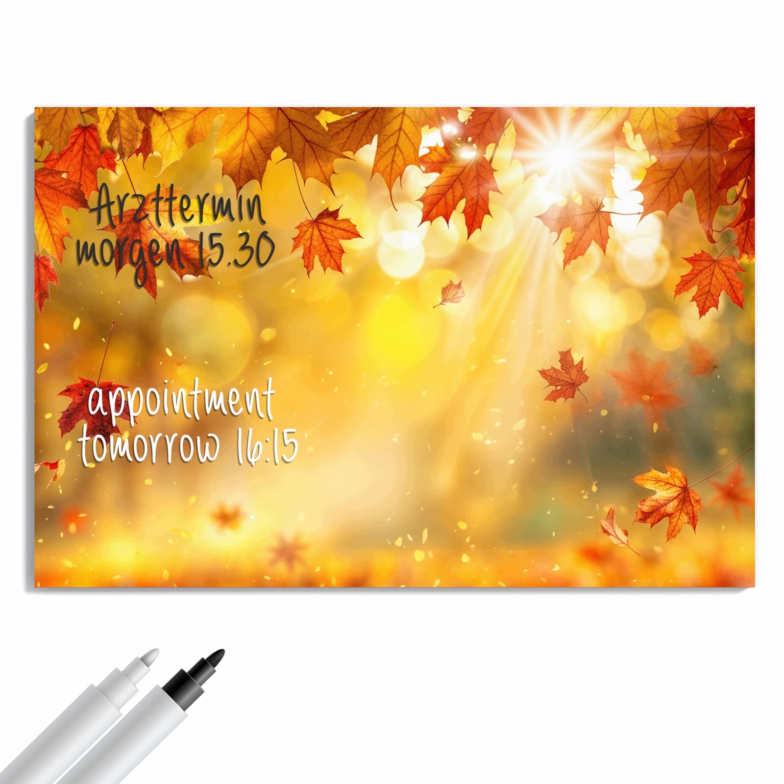 Magnetická tabule – obraz na zeď Podzimní listy slunce | 90 × 60 cm