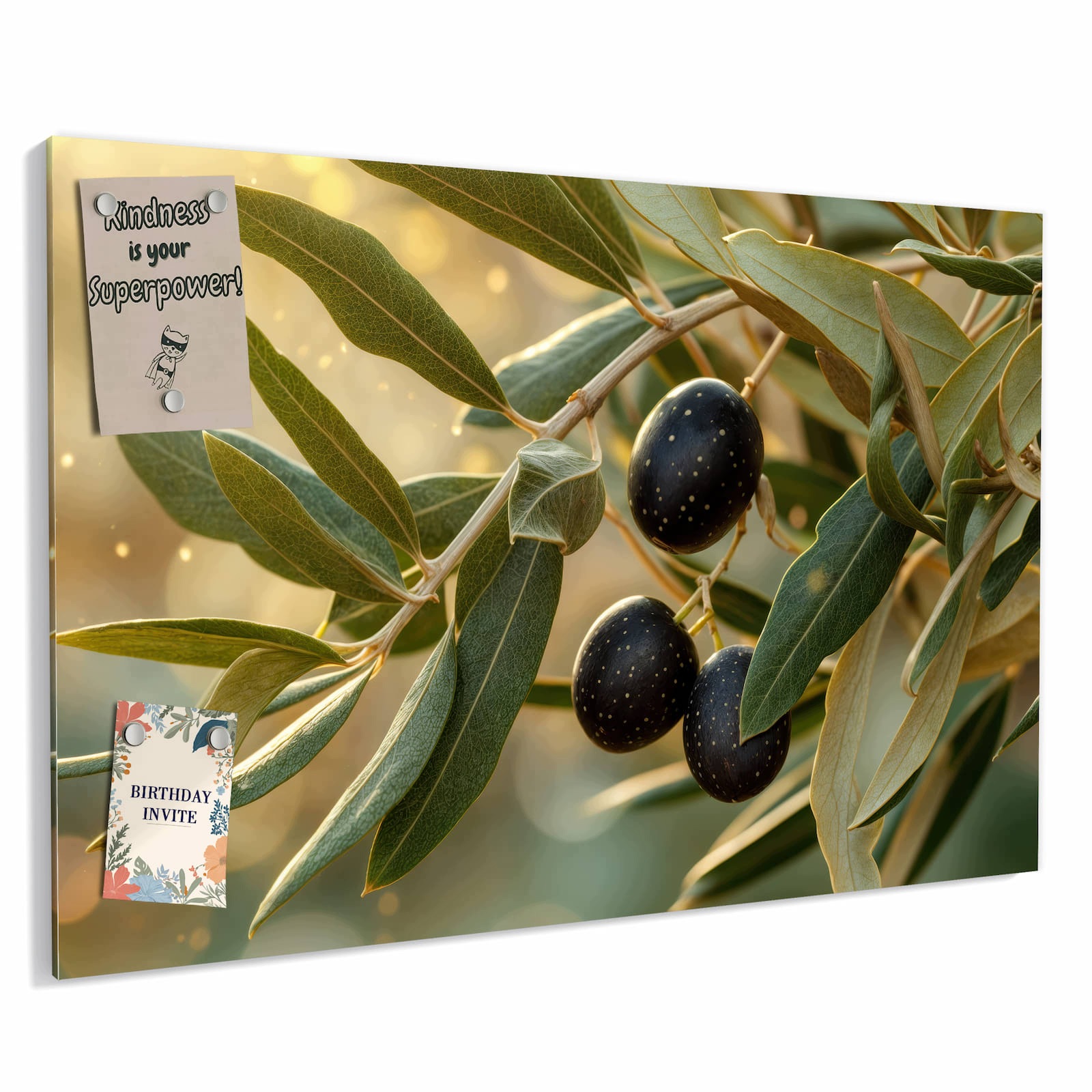 Magnetická tabule – obraz na zeď Olivová větvička | 90 × 60 cm