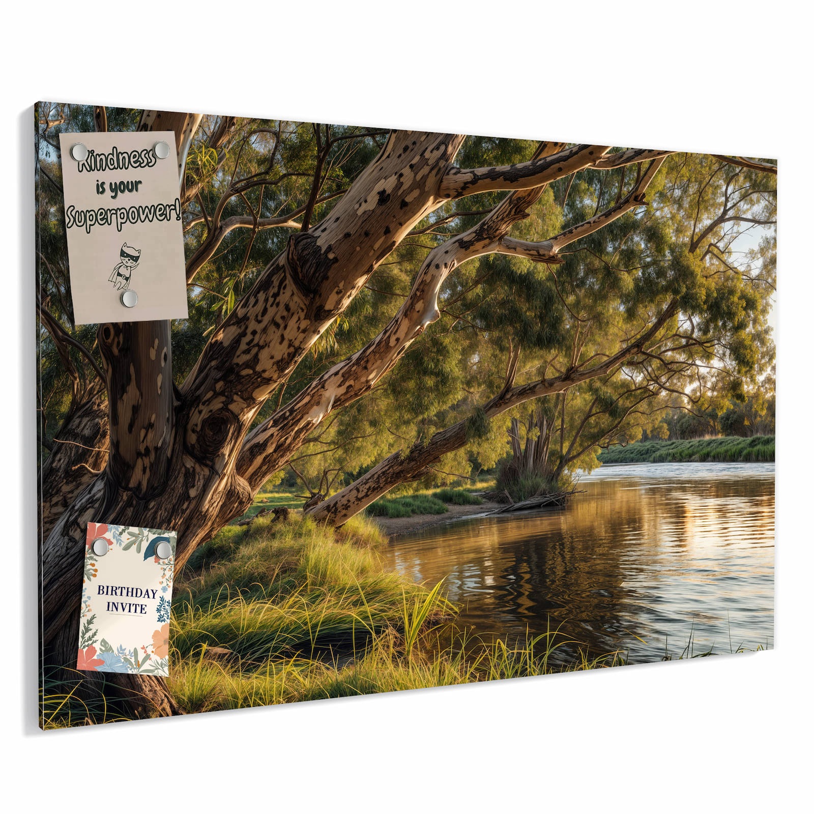 Magnetická tabule – obraz na zeď Strom na břehu řeky | 60 × 40 cm
