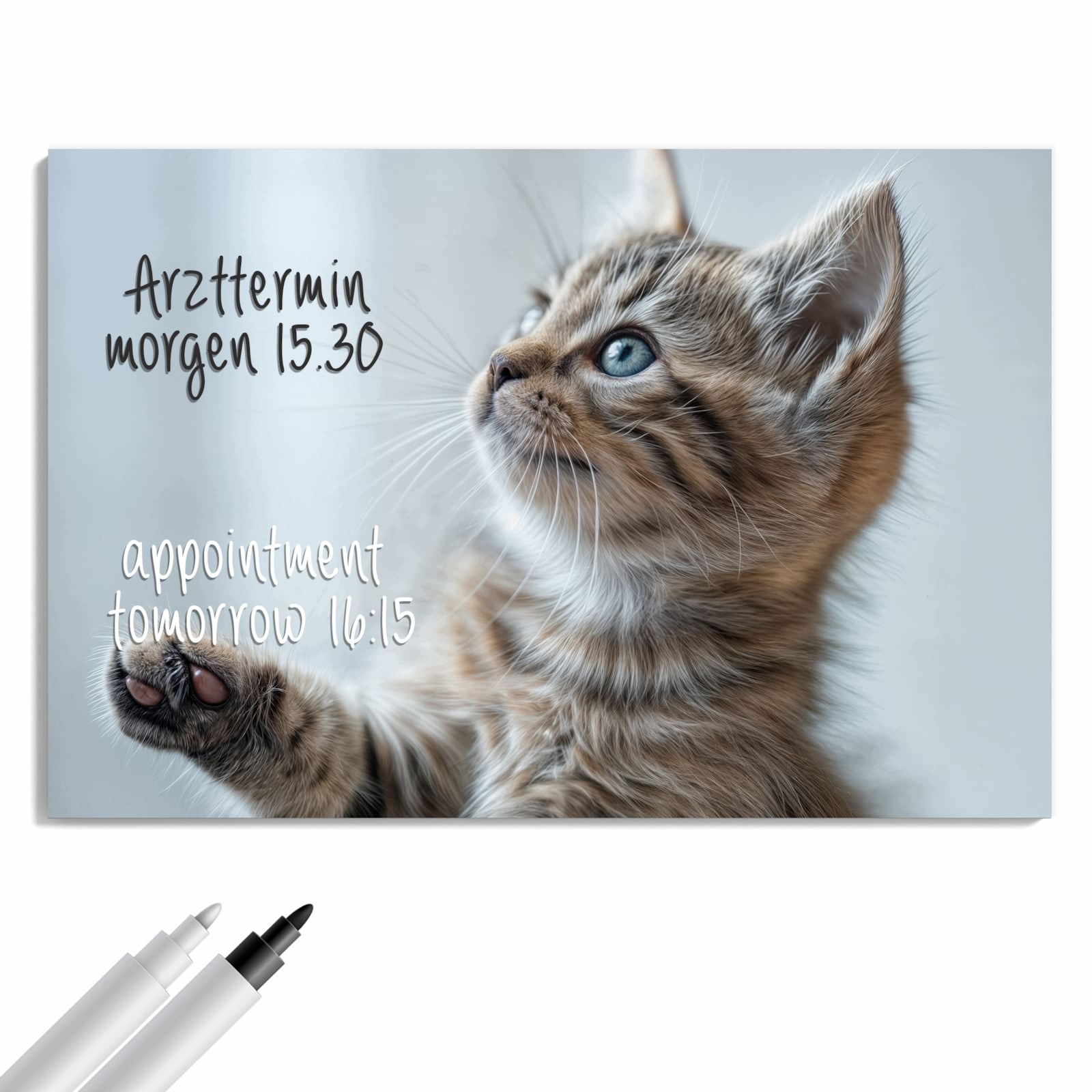 Magnetická tabule – obraz na zeď Pruhované koťátko | 90 × 60 cm