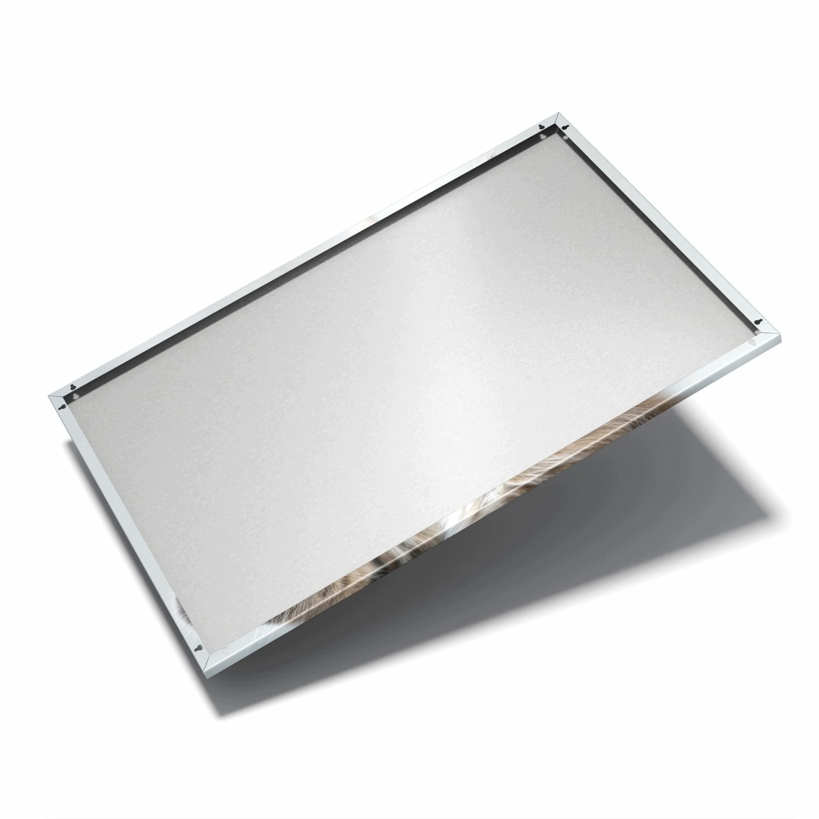 Magnetická tabule – obraz na zeď Pruhované koťátko | 90 × 60 cm