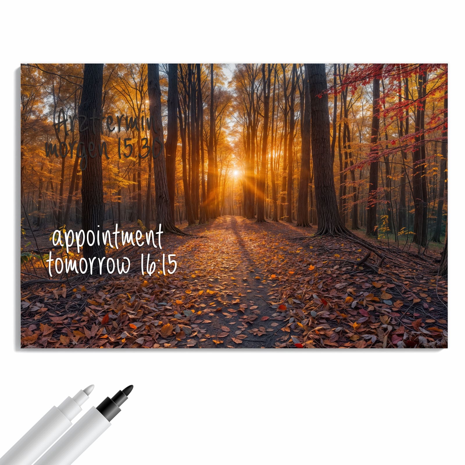 Magnetická tabule – obraz na zeď Západ slunce les | 90 × 60 cm