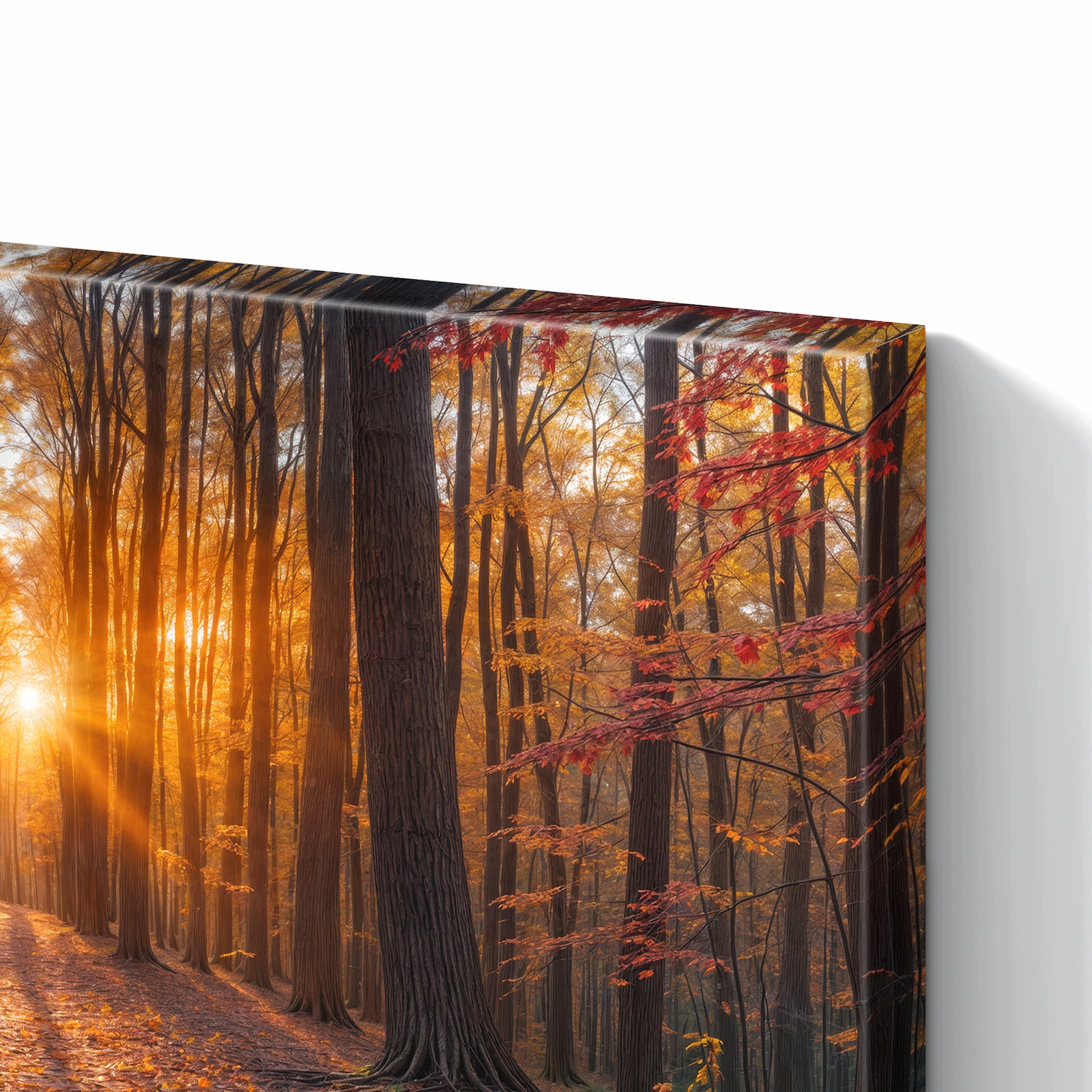 Magnetická tabule – obraz na zeď Západ slunce les | 90 × 60 cm