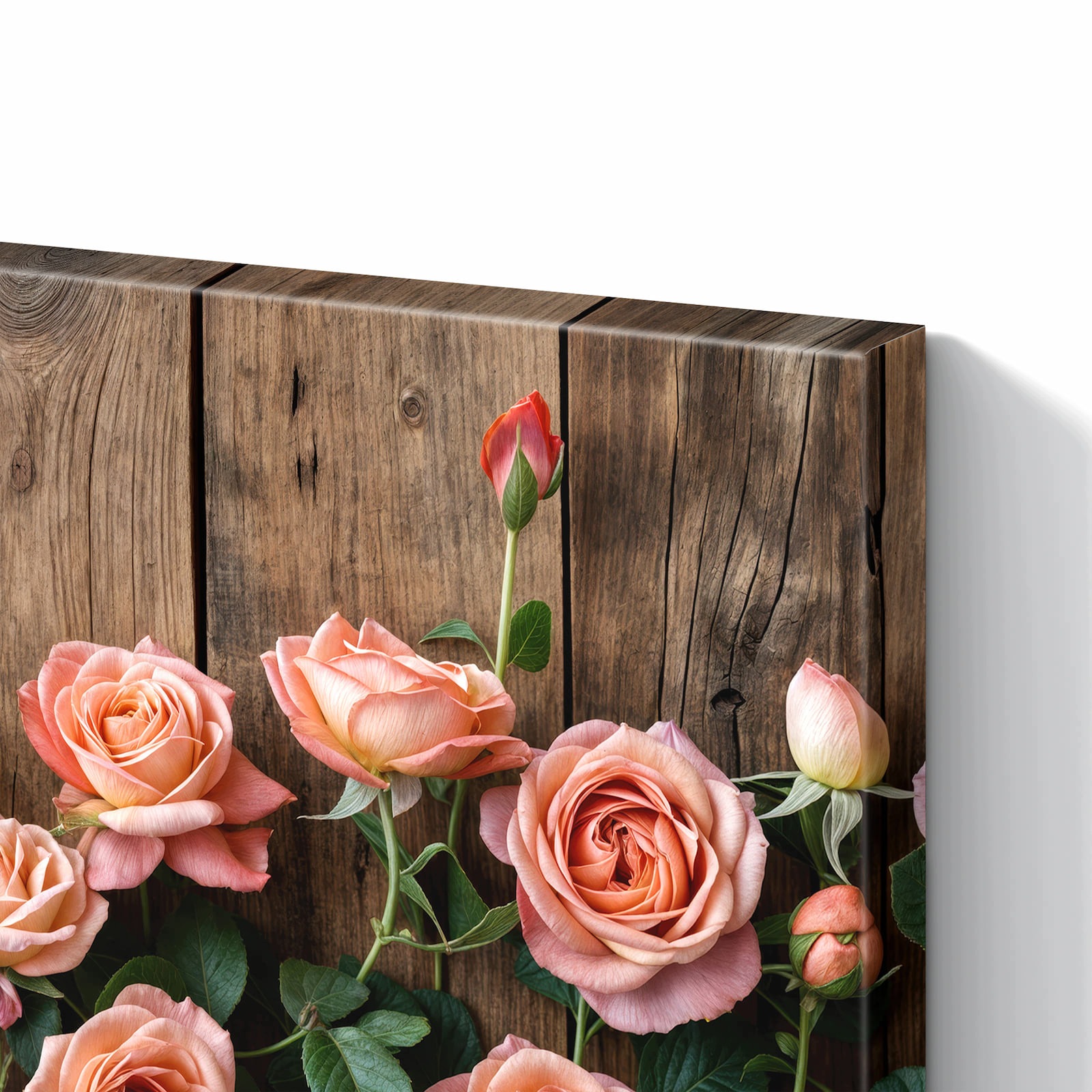 Magnetická tabule – obraz na zeď Růže na dřevěném pozadí | 90 × 60 cm