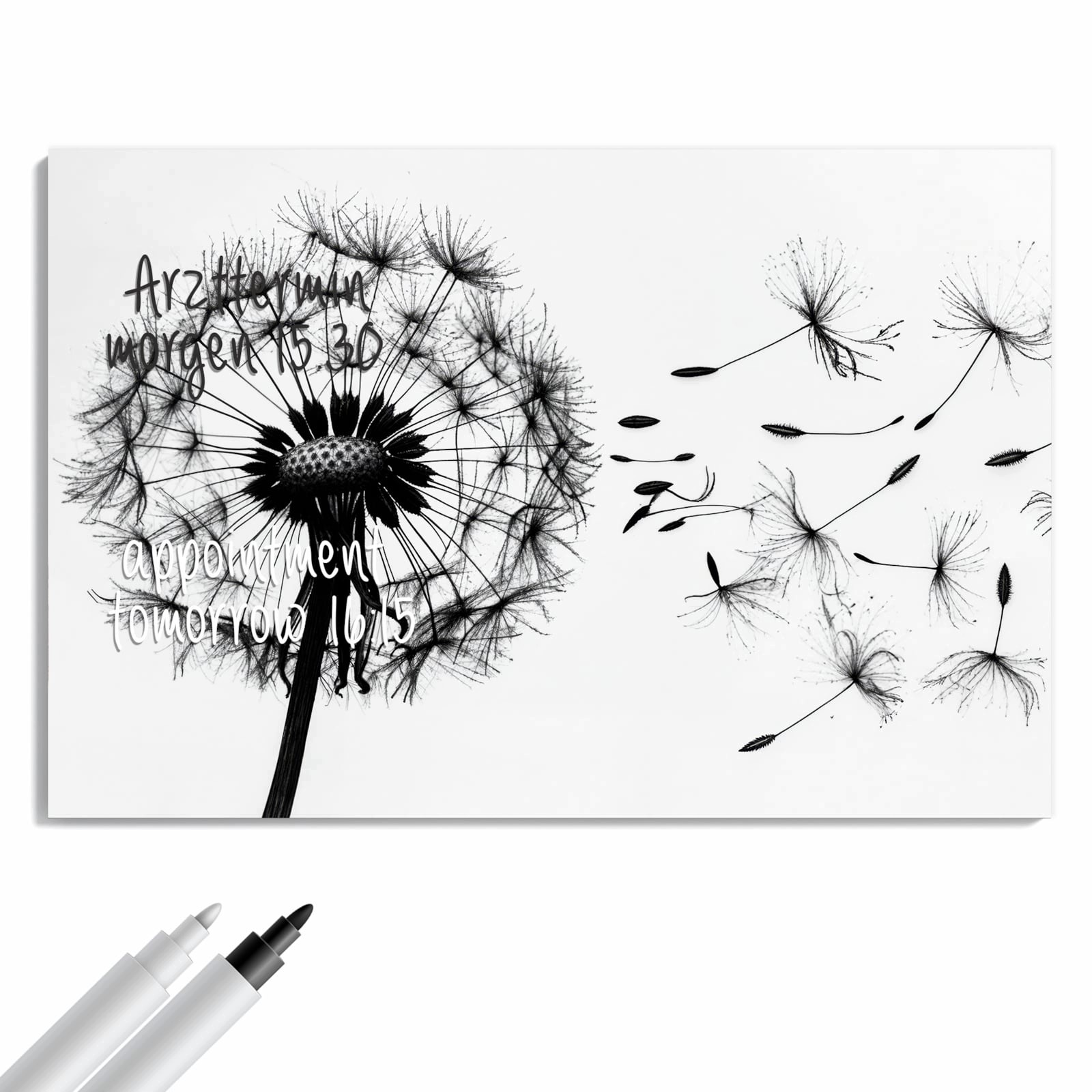 Magnetická tabule – obraz na zeď Pampeliška | 90 × 60 cm