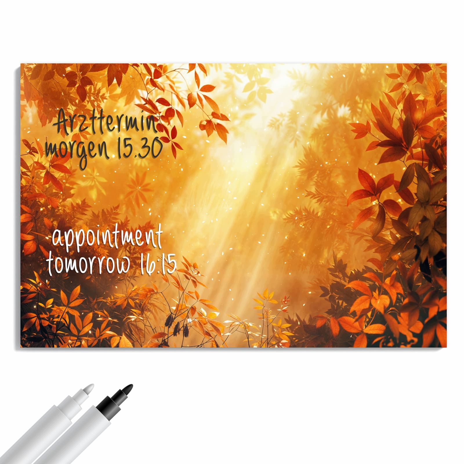 Magnetická tabule – obraz na zeď Podzimní les | 90 × 60 cm